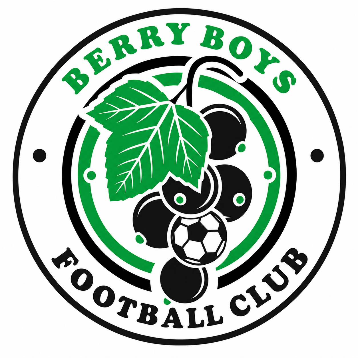 Berry Boys FC
