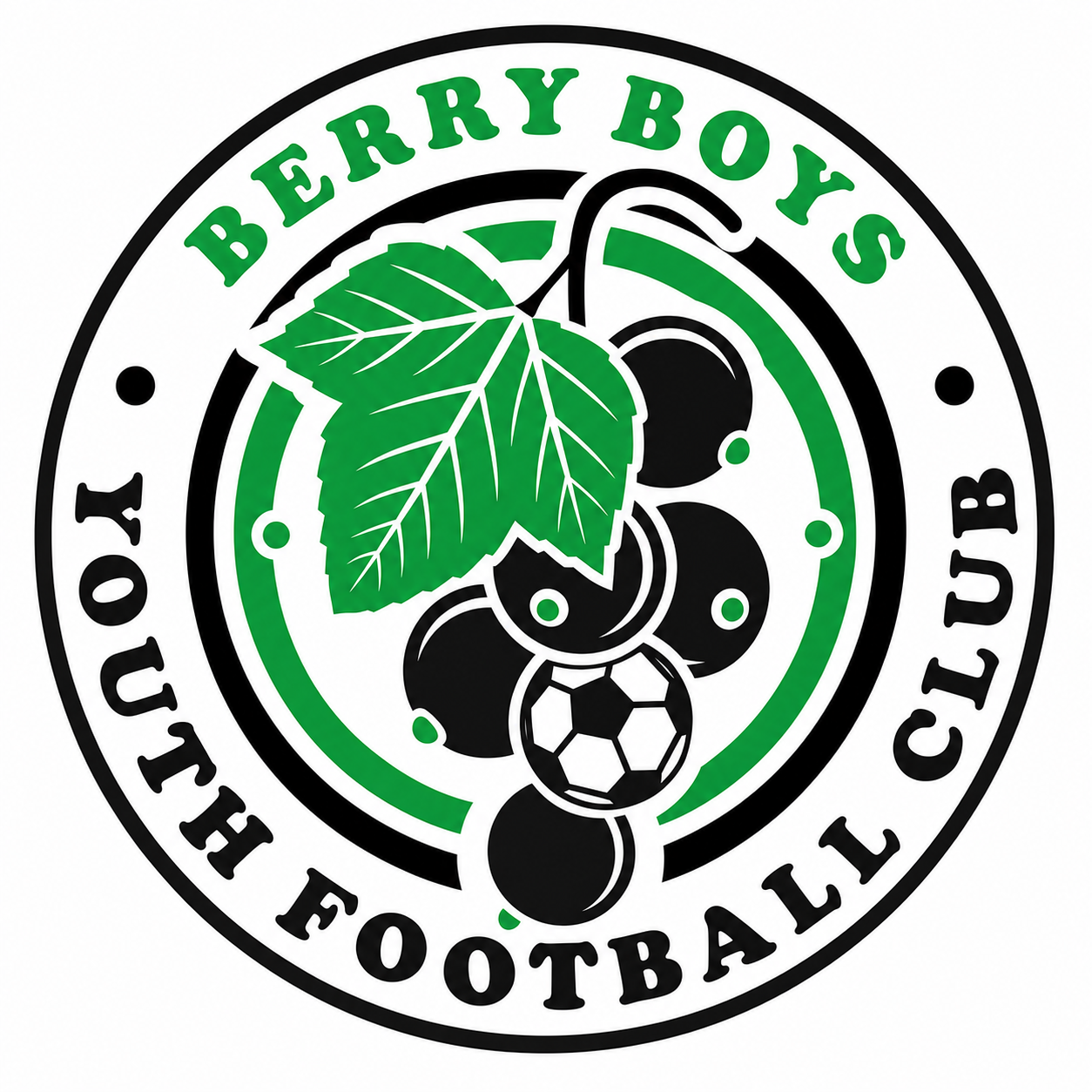 Berry Boys FC