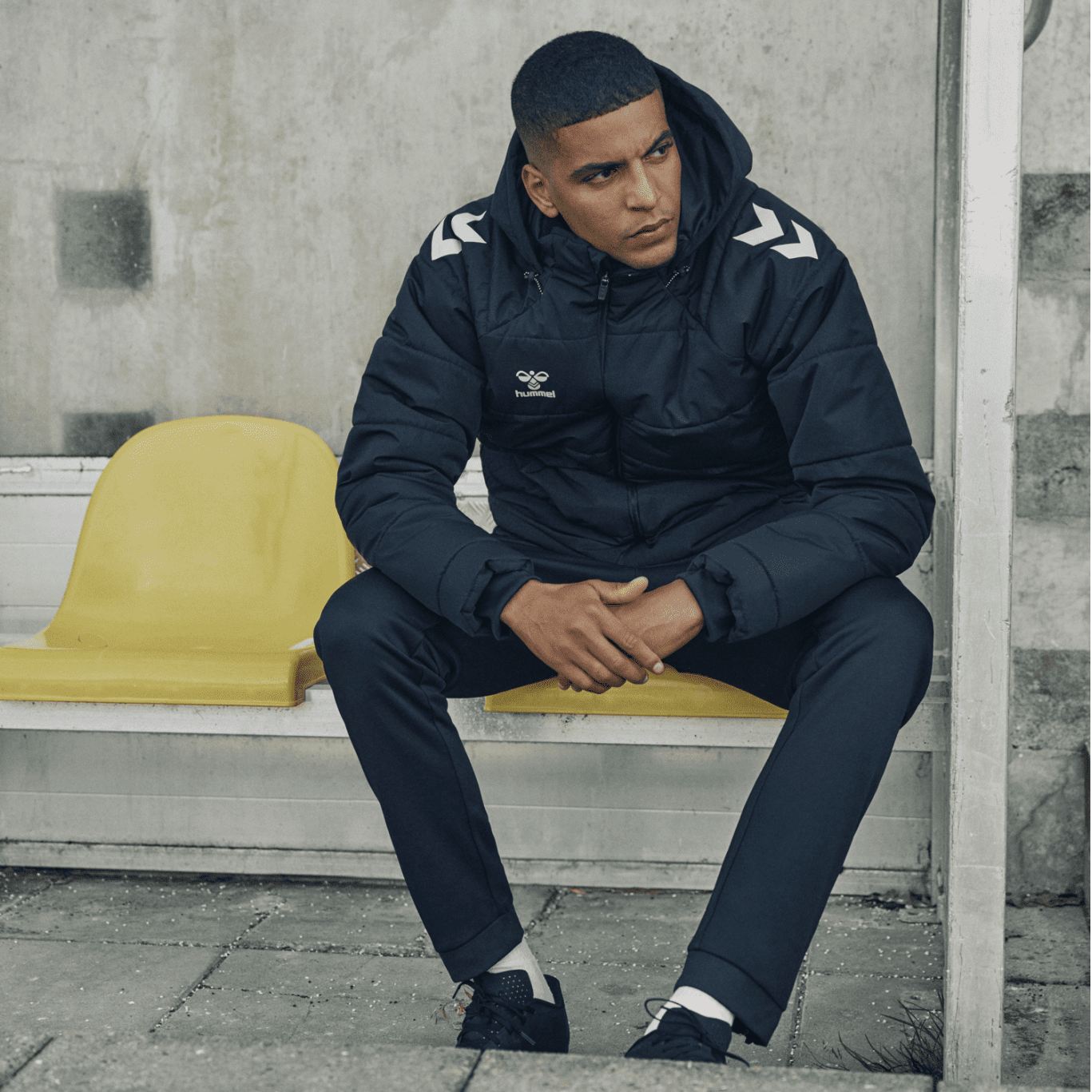 Hummel Winter