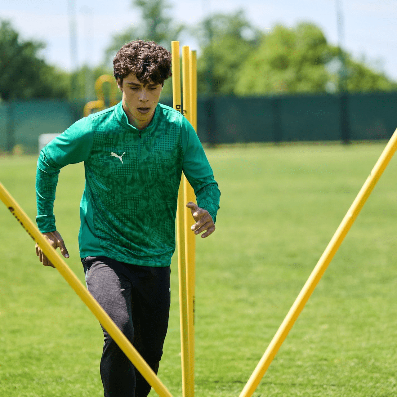 Puma Training