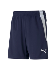 Burnham Ramblers FC Training Shorts