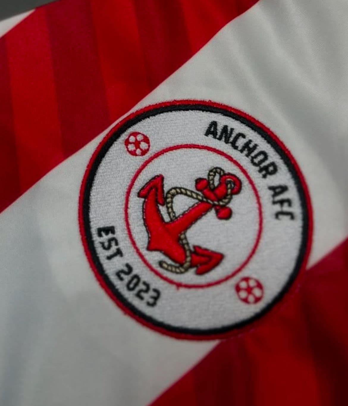 Embroidered Badge