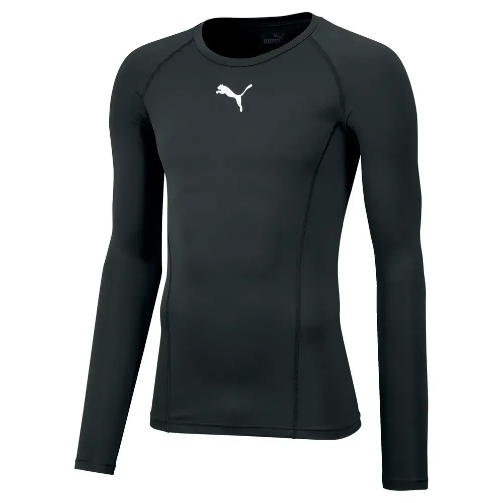 Pitts Project Base Layer