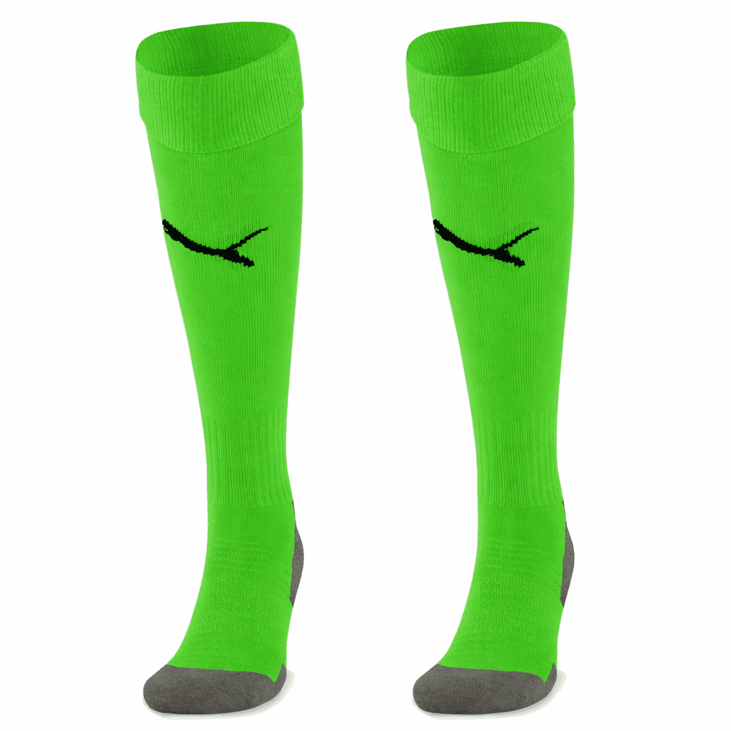Puma teamLIGA Core Socks
