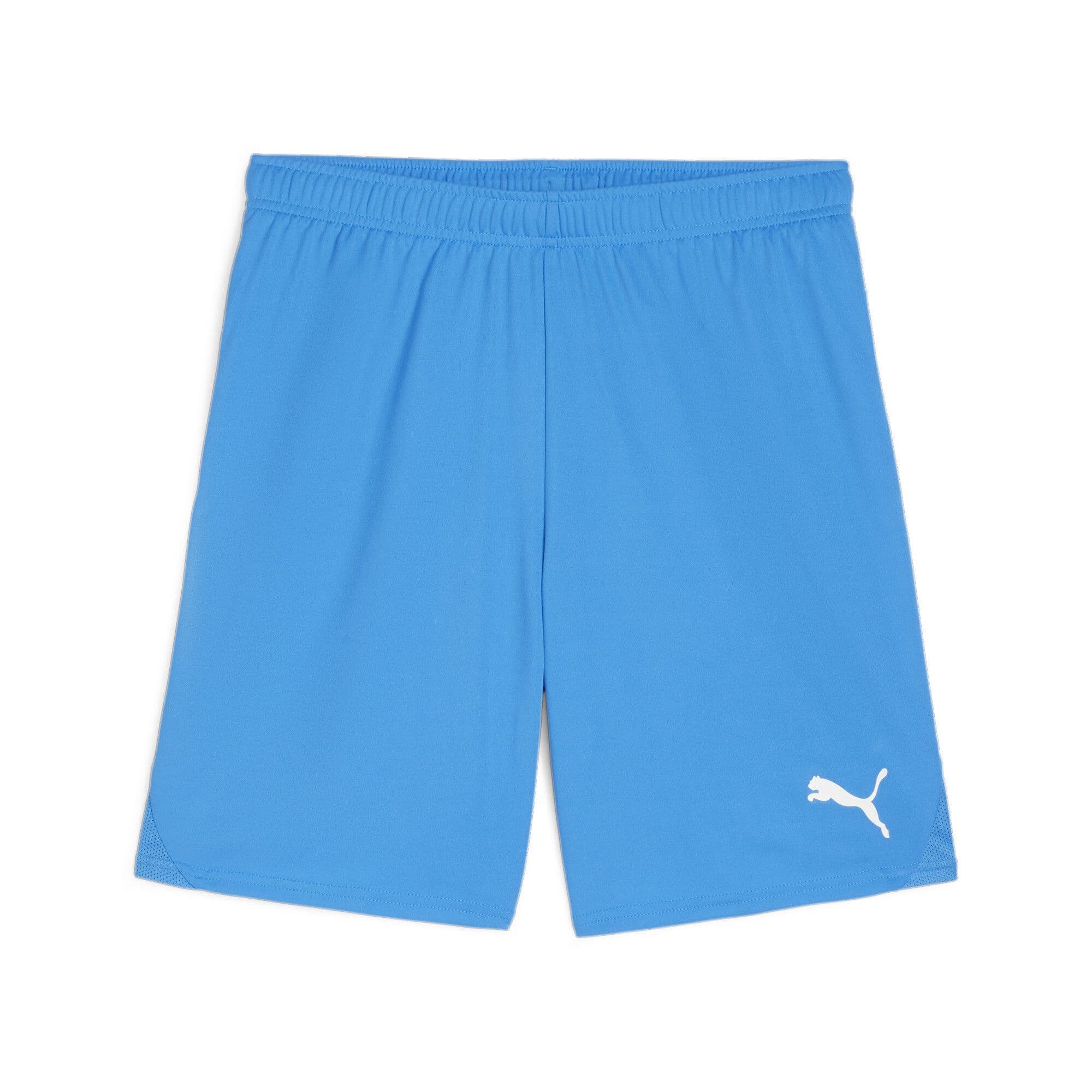 Puma Junior teamGOAL Shorts
