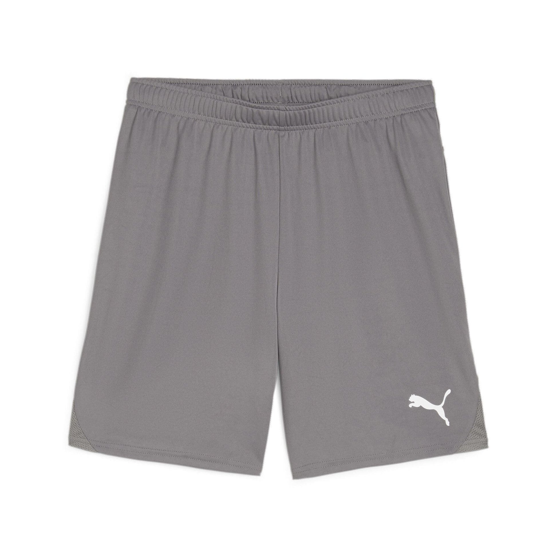 Puma Junior teamGOAL Shorts