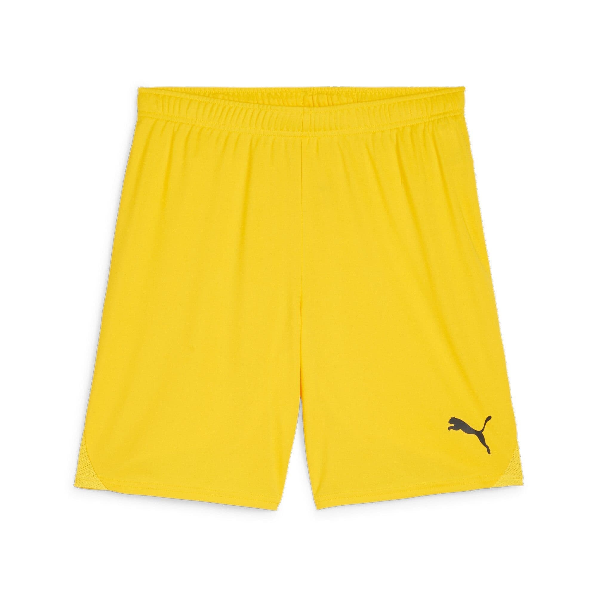 Puma Junior teamGOAL Shorts