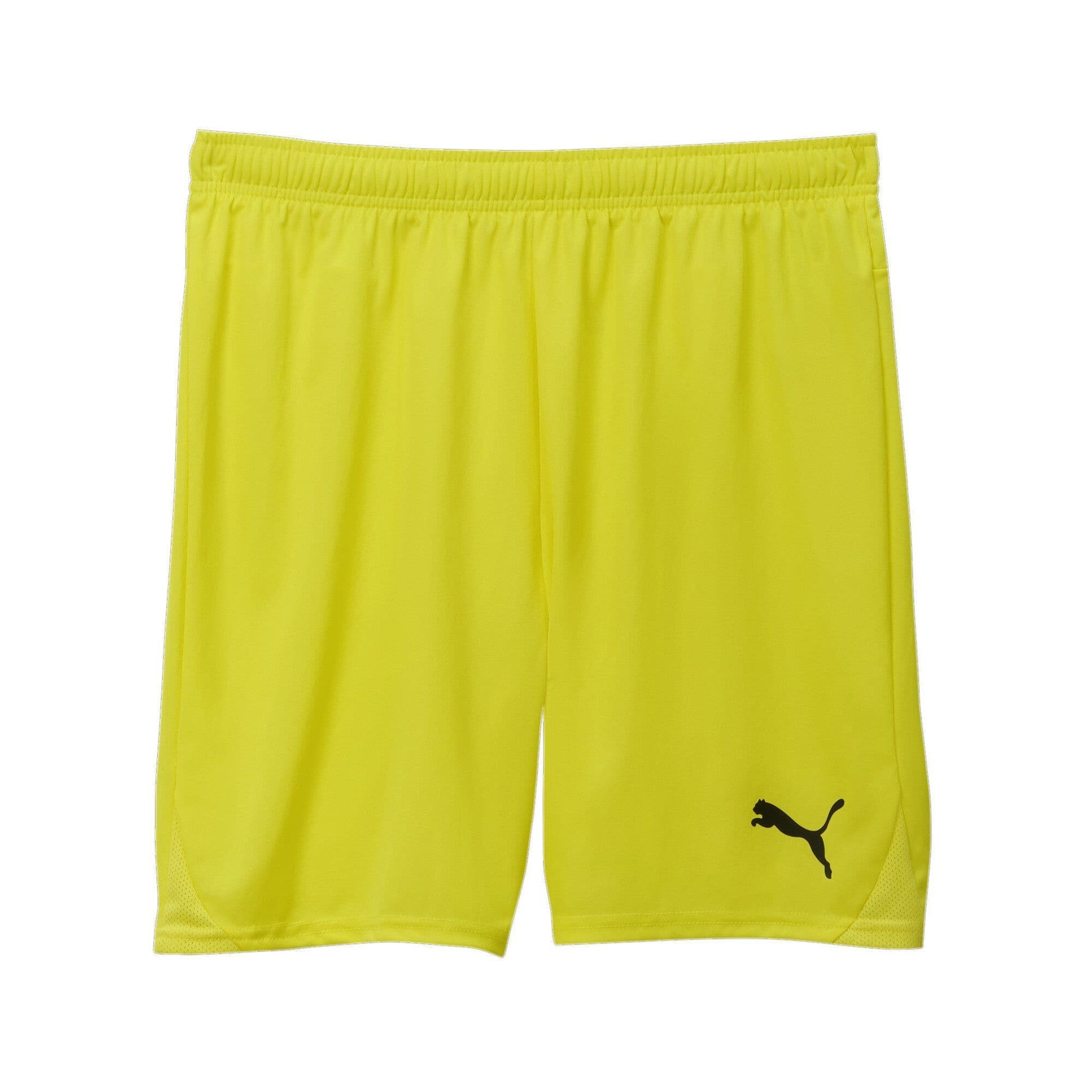 Puma Junior teamGOAL Shorts