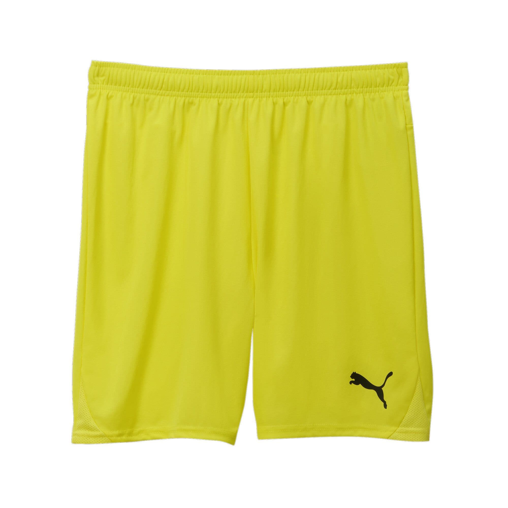Puma Junior teamGOAL Shorts