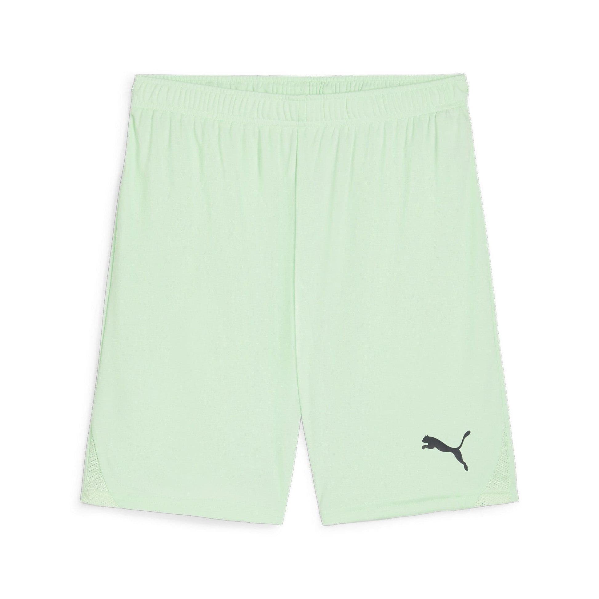 Puma Junior teamGOAL Shorts