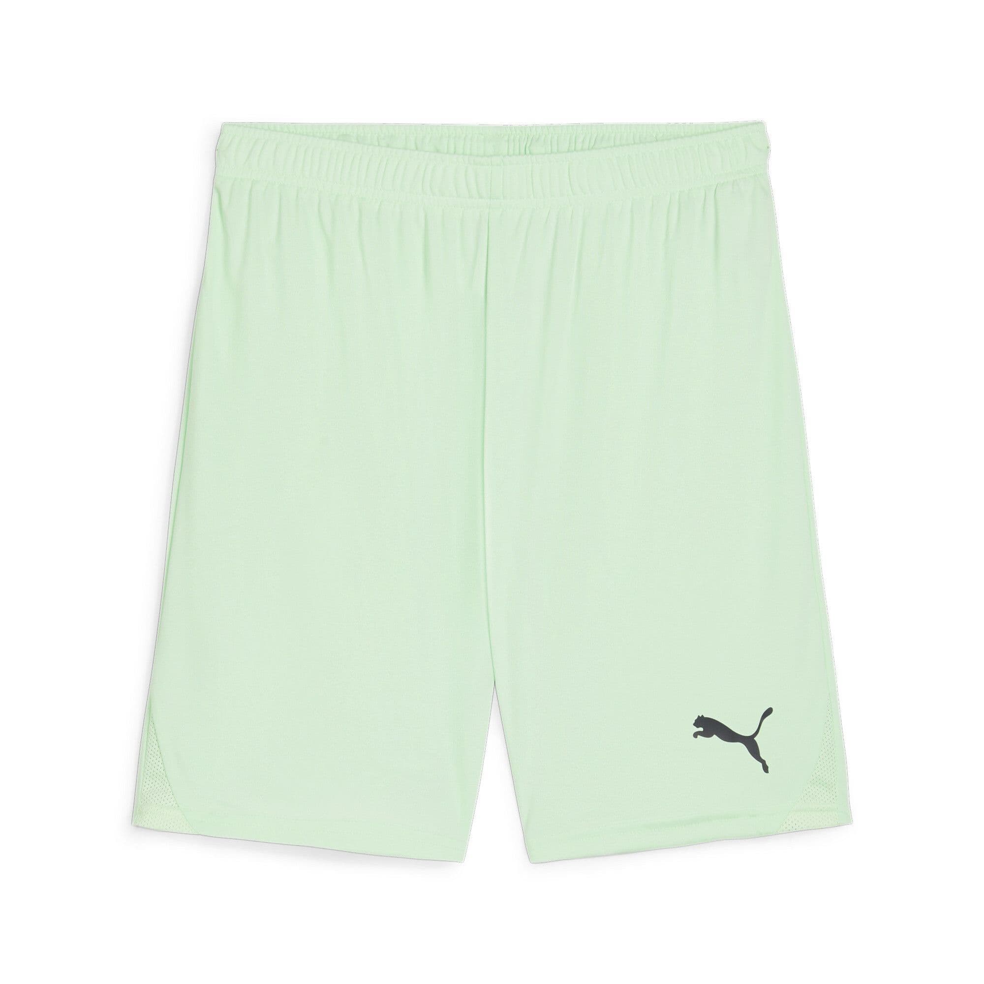 Puma Junior teamGOAL Shorts