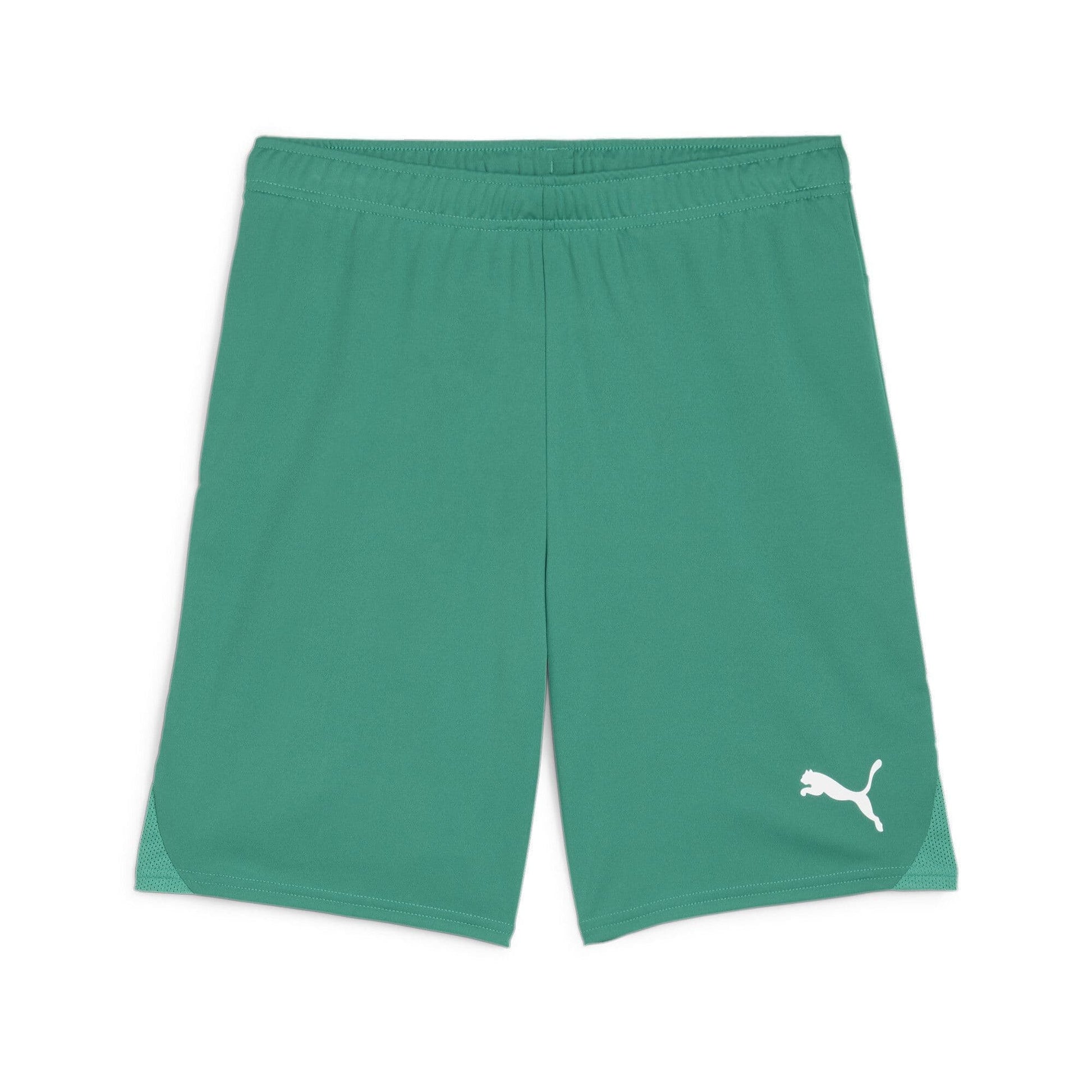 Puma Junior teamGOAL Shorts