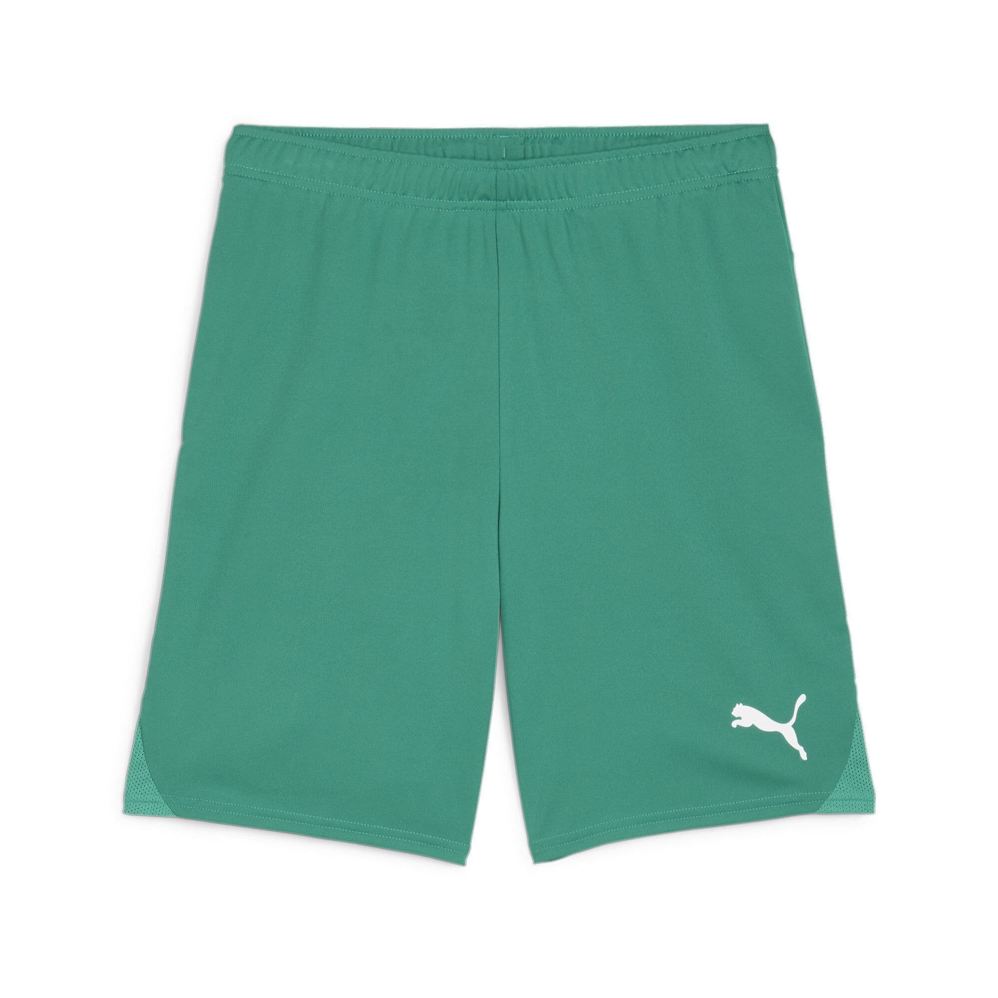 Puma Junior teamGOAL Shorts