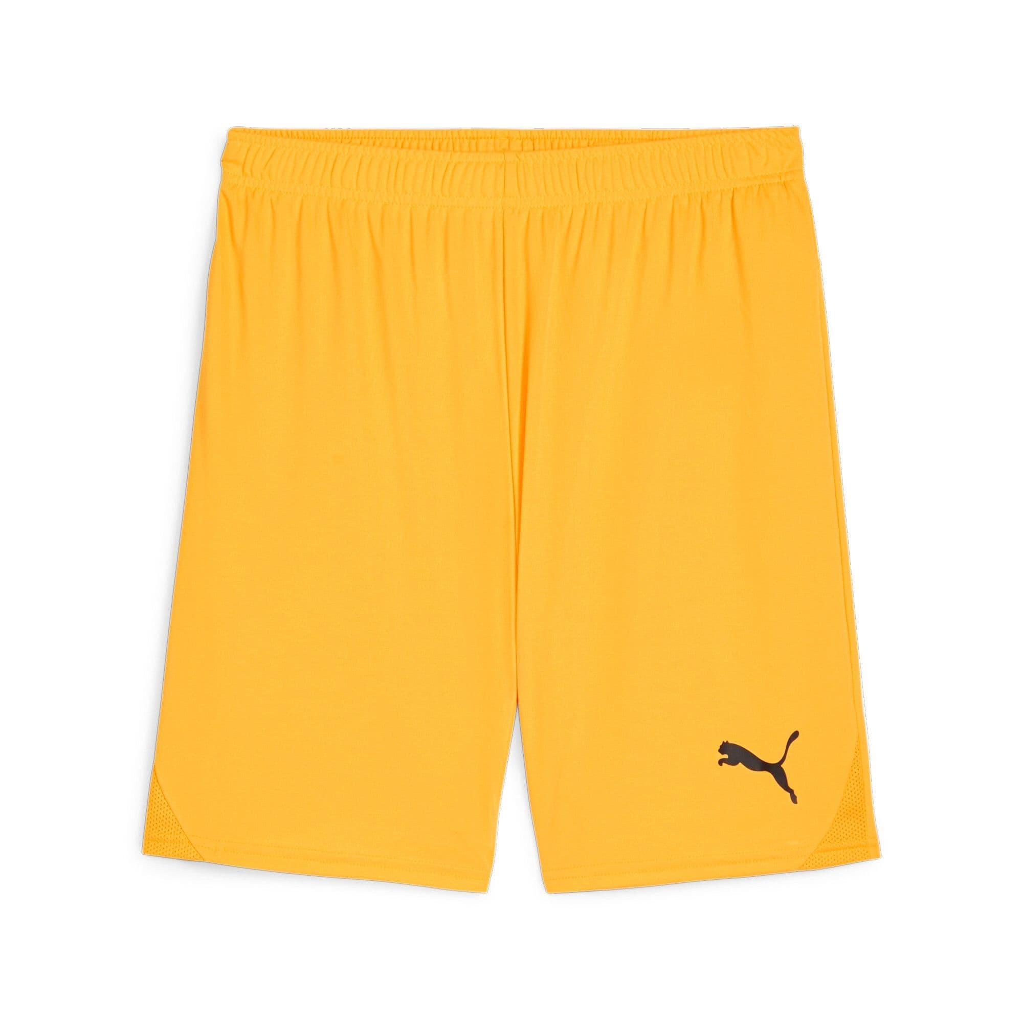 Puma Junior teamGOAL Shorts