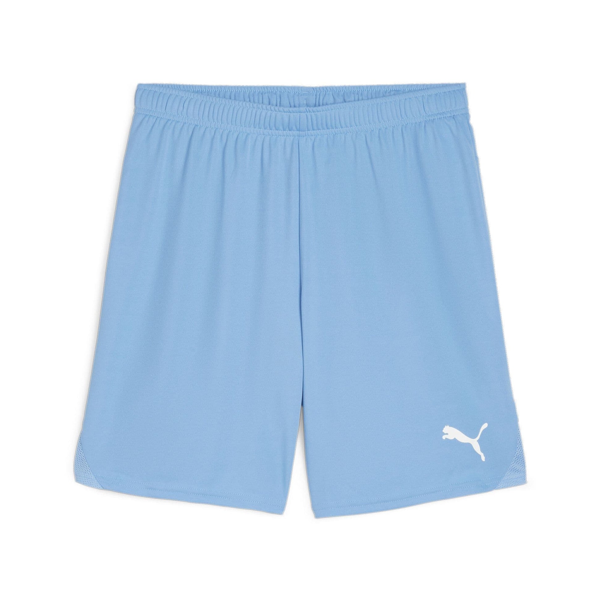 Puma Junior teamGOAL Shorts