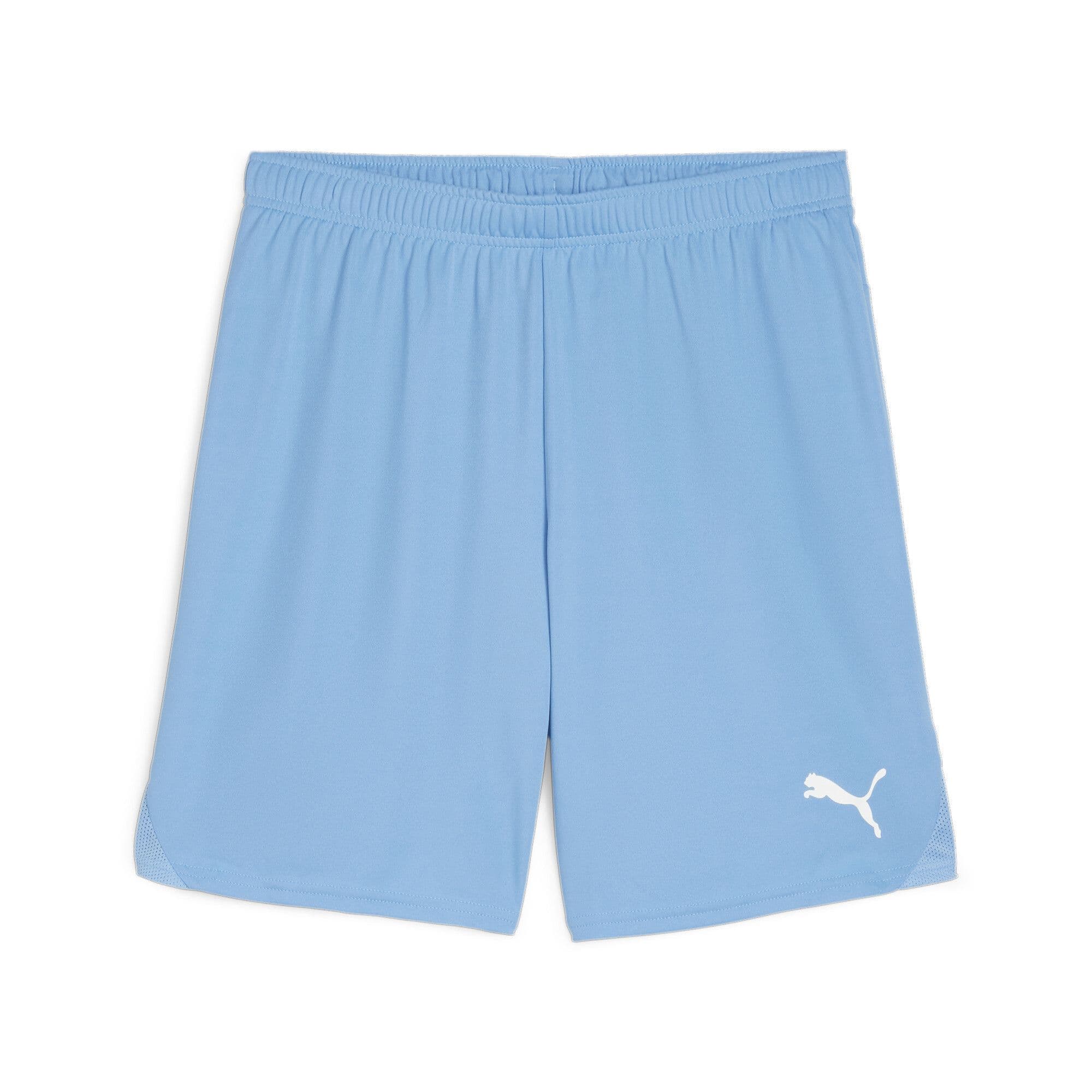 Puma Junior teamGOAL Shorts