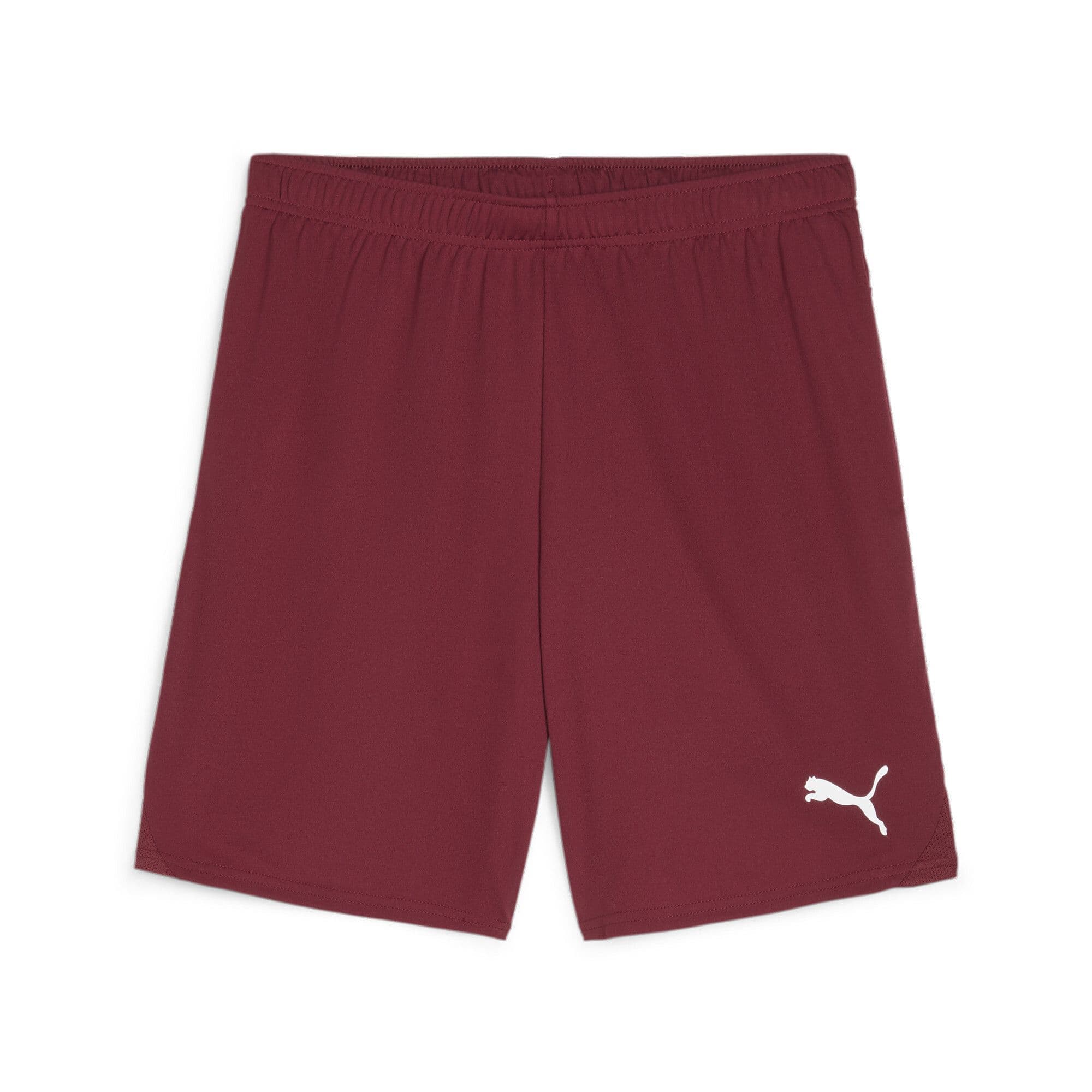 Puma Junior teamGOAL Shorts