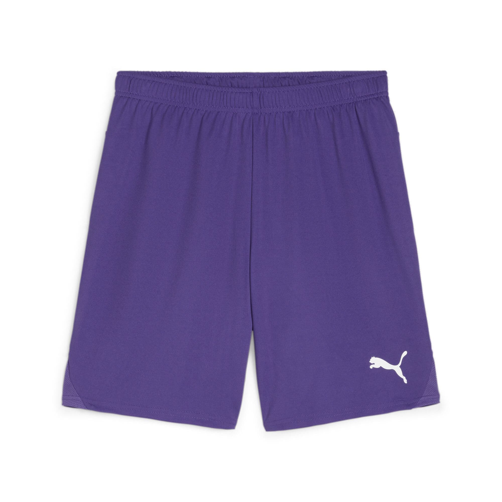 Puma Junior teamGOAL Shorts