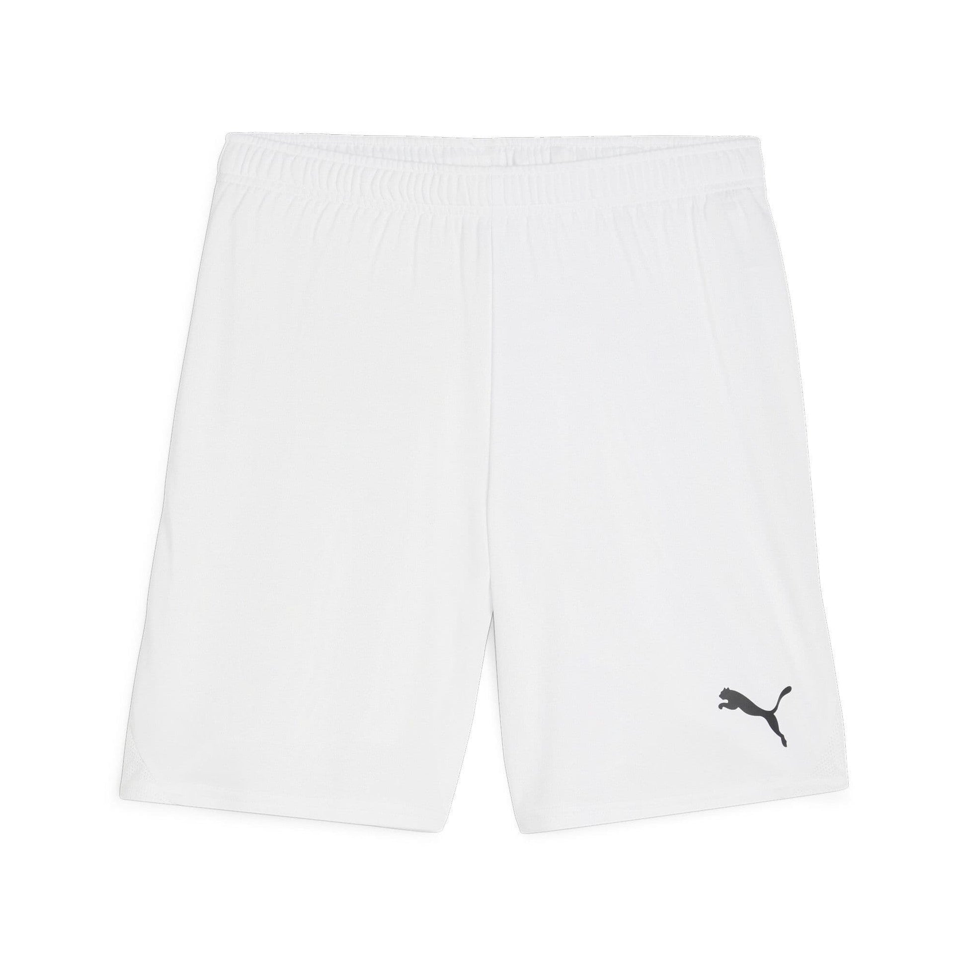 Puma Junior teamGOAL Shorts