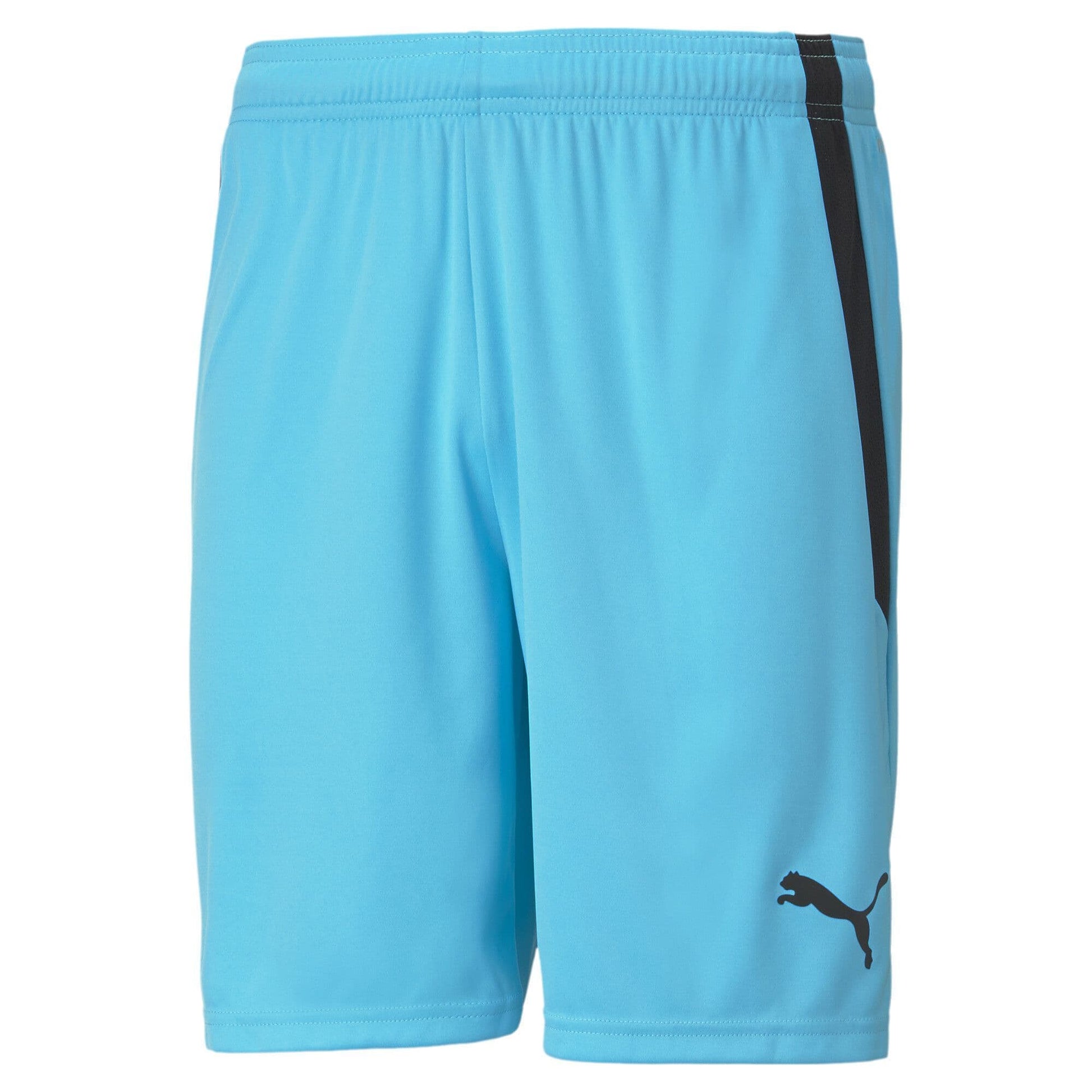 Puma Junior teamLIGA Shorts