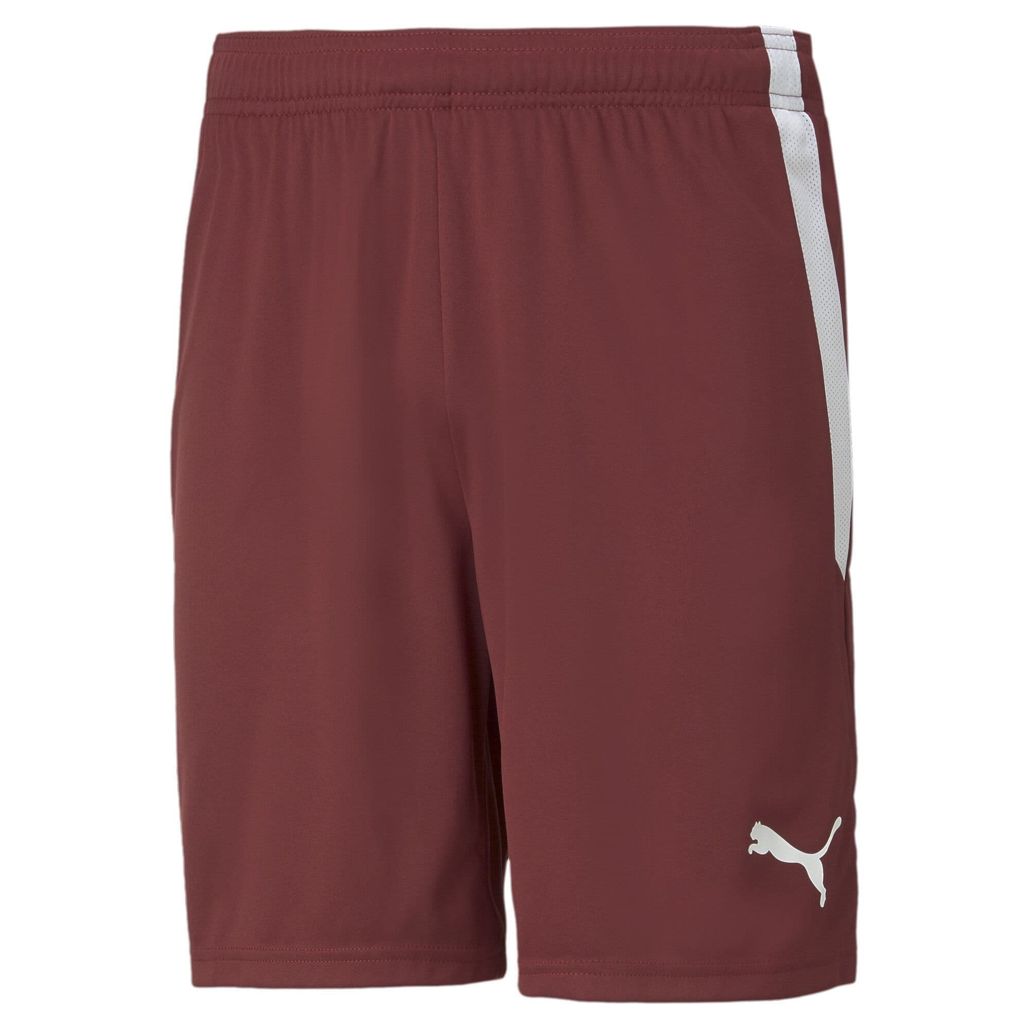 Puma Junior teamLIGA Shorts