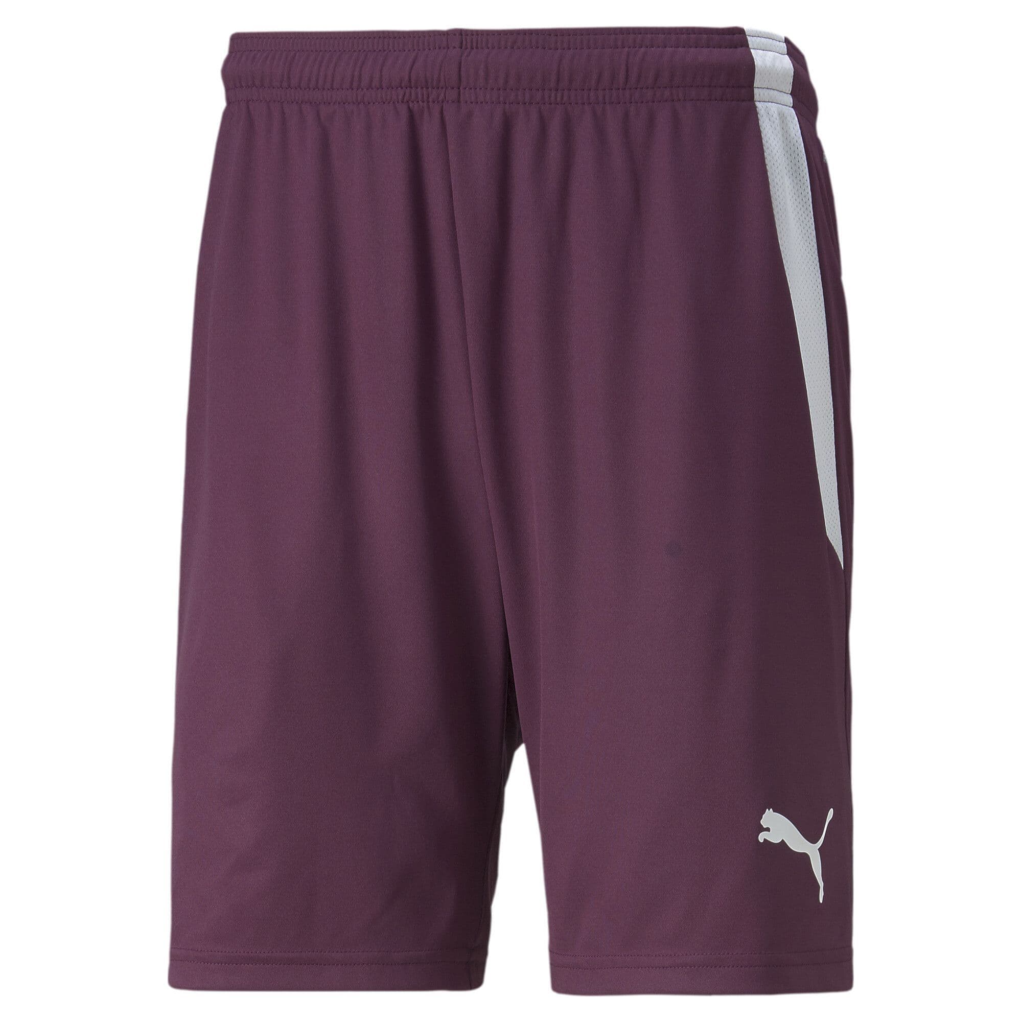 Puma Junior teamLIGA Shorts