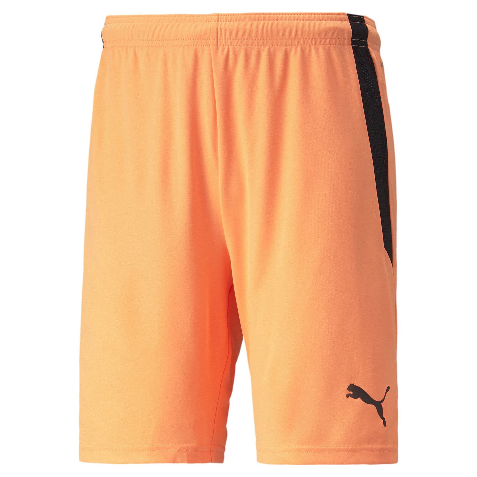Puma Junior teamLIGA Shorts