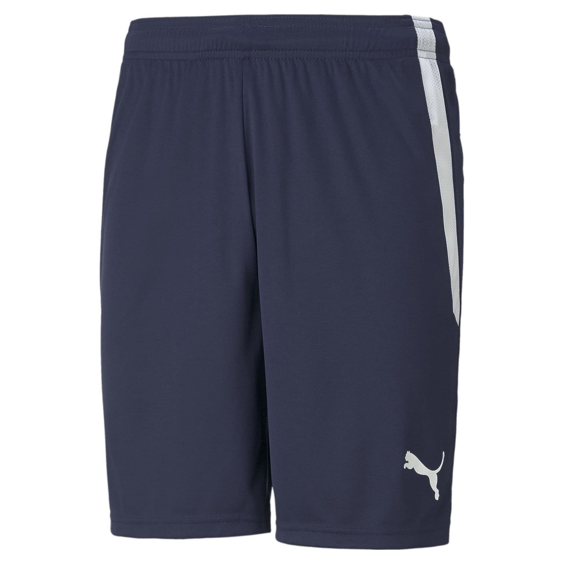 Puma Junior teamLIGA Shorts