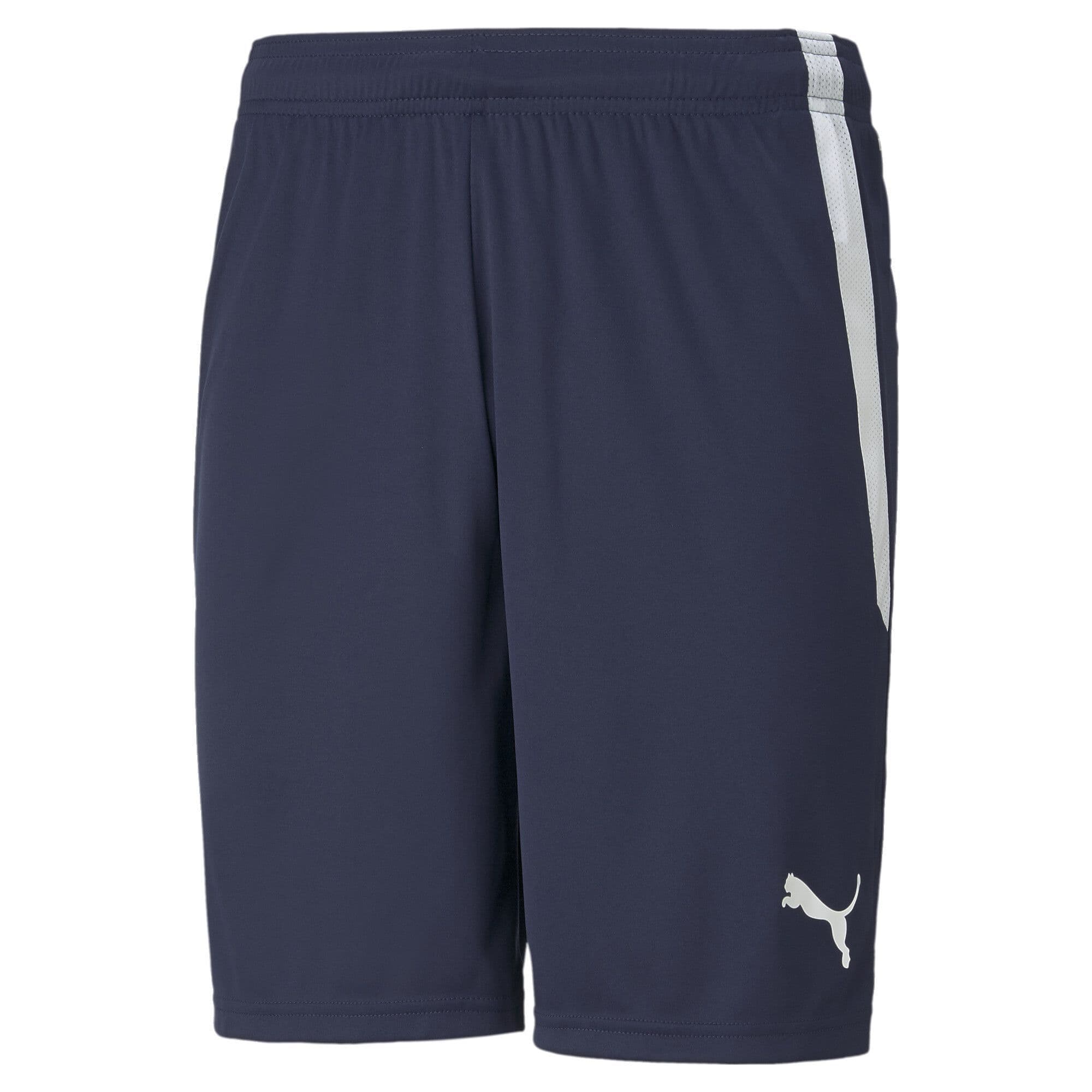 Puma Junior teamLIGA Shorts