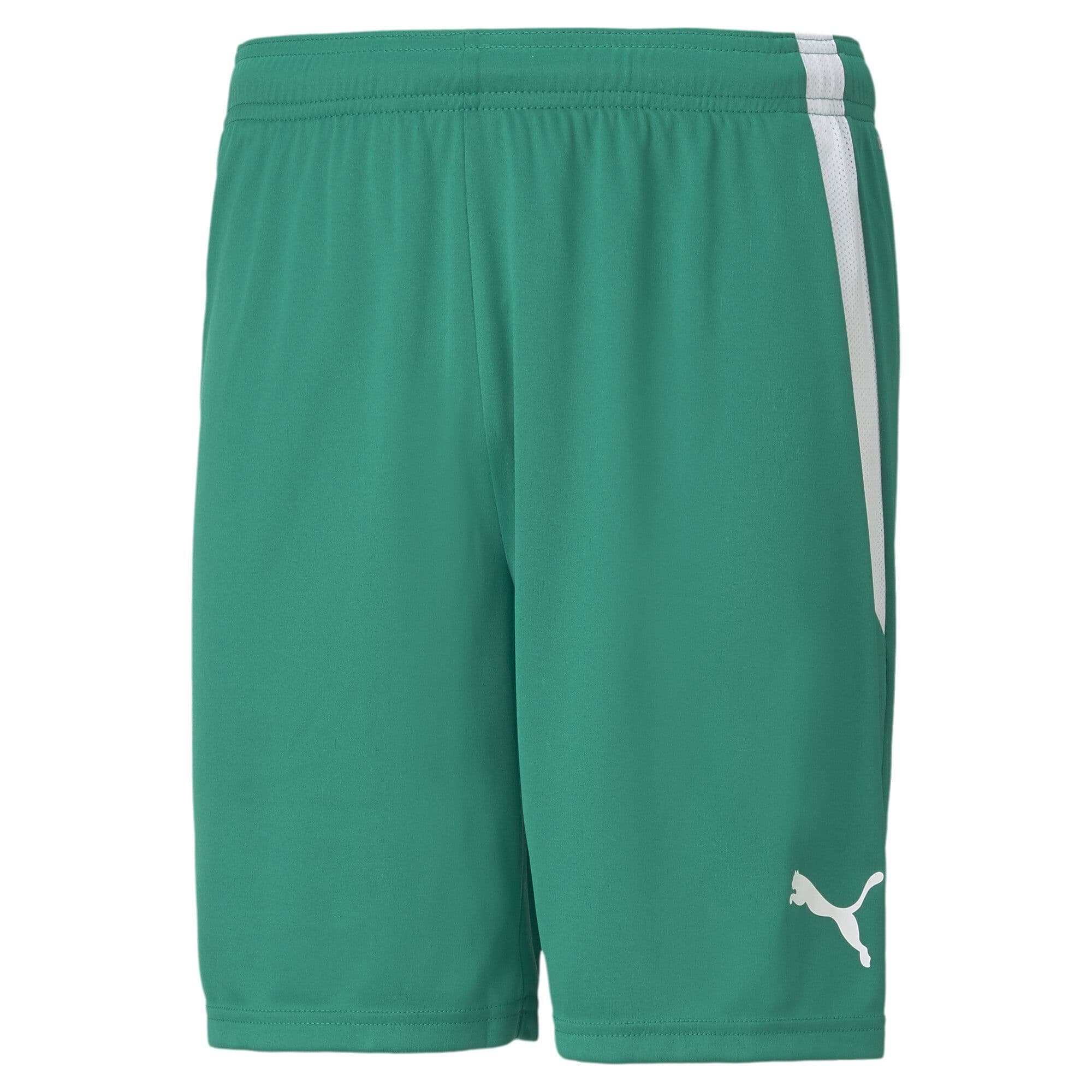 Puma Junior teamLIGA Shorts
