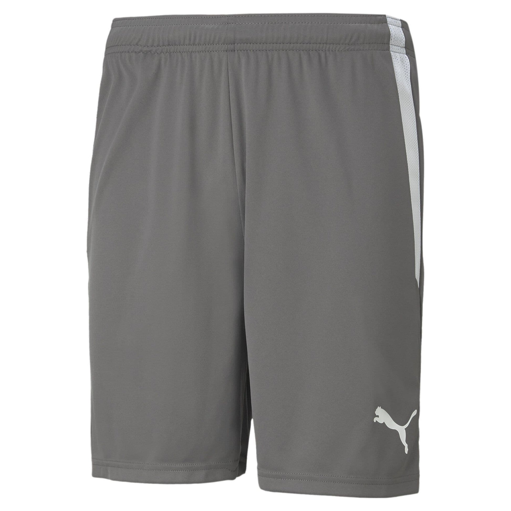 Puma Junior teamLIGA Shorts