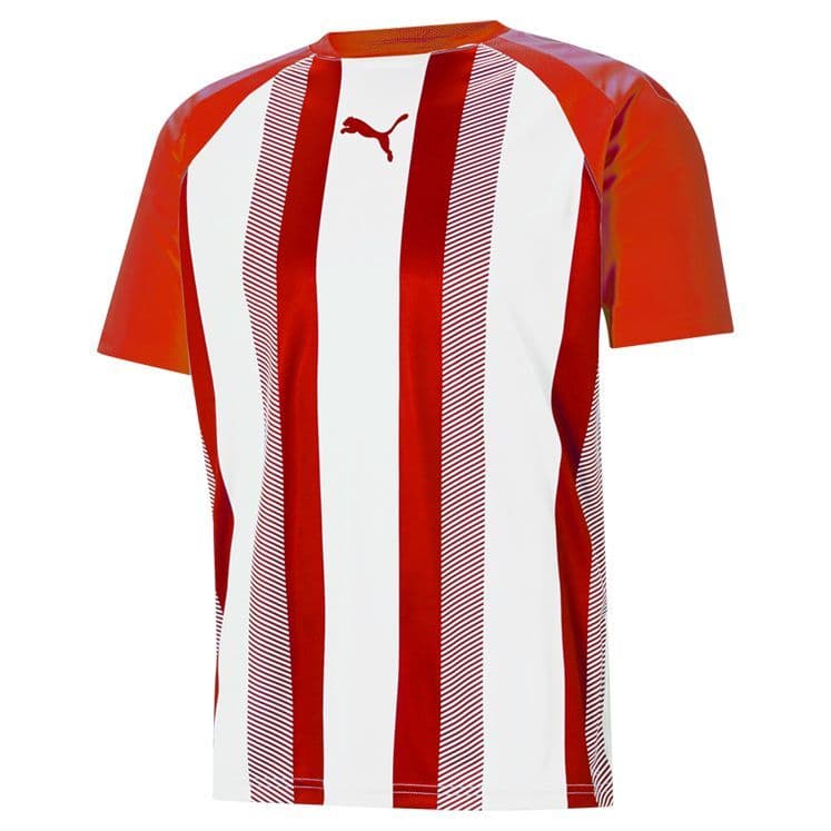 Puma Junior teamLIGA Striped Jersey