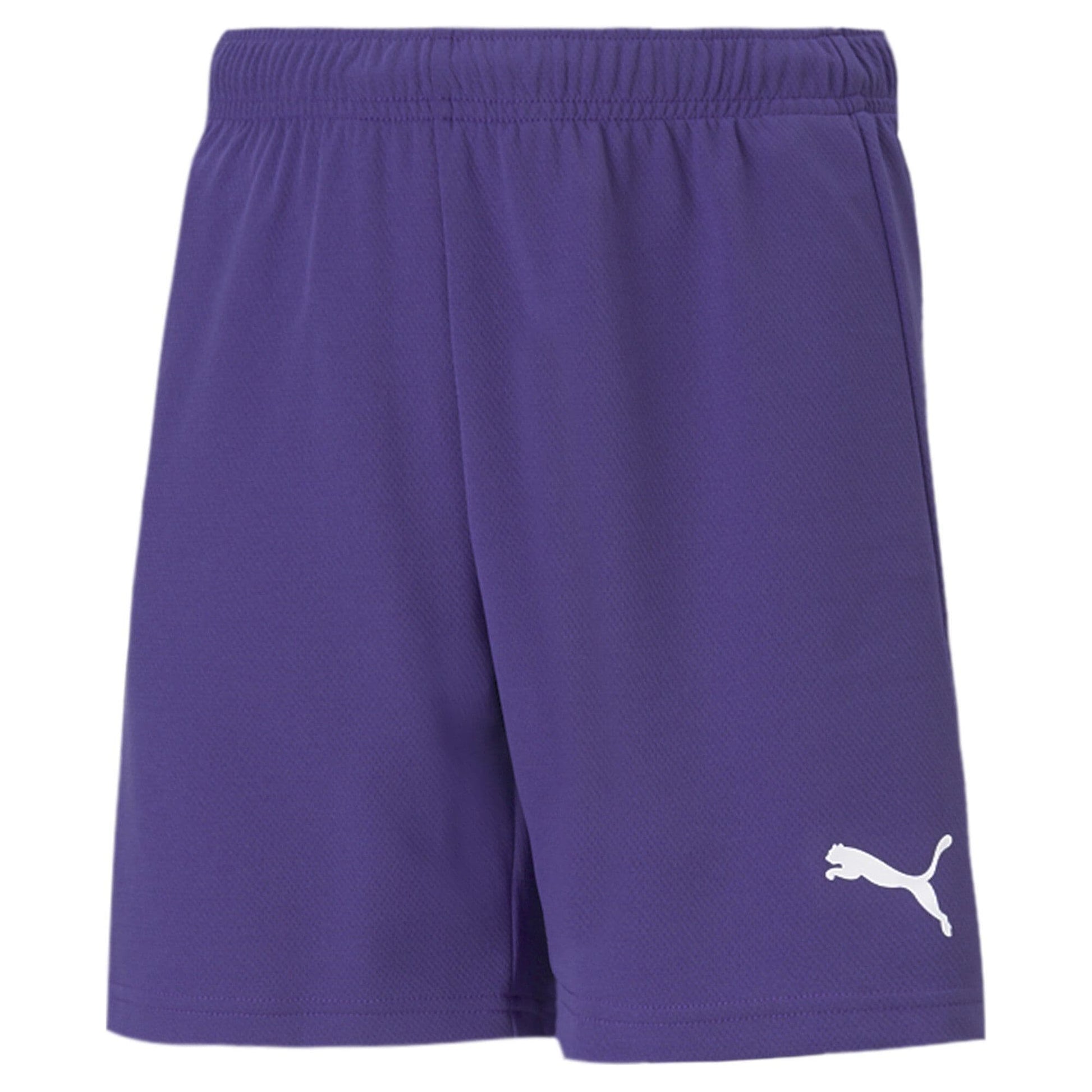 Puma Junior teamRISE Short