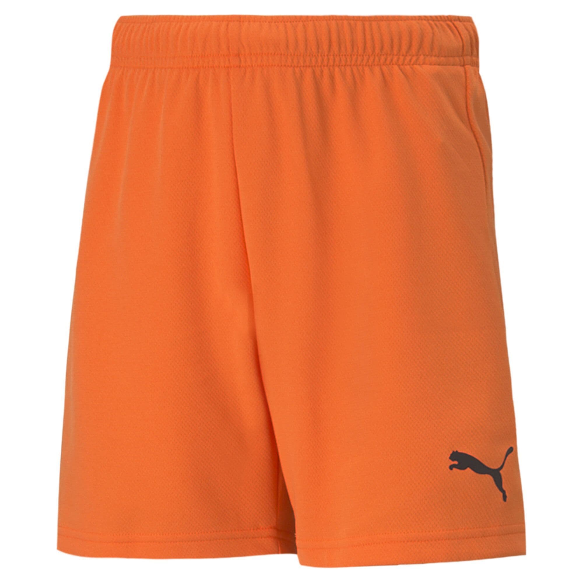 Puma Junior teamRISE Short