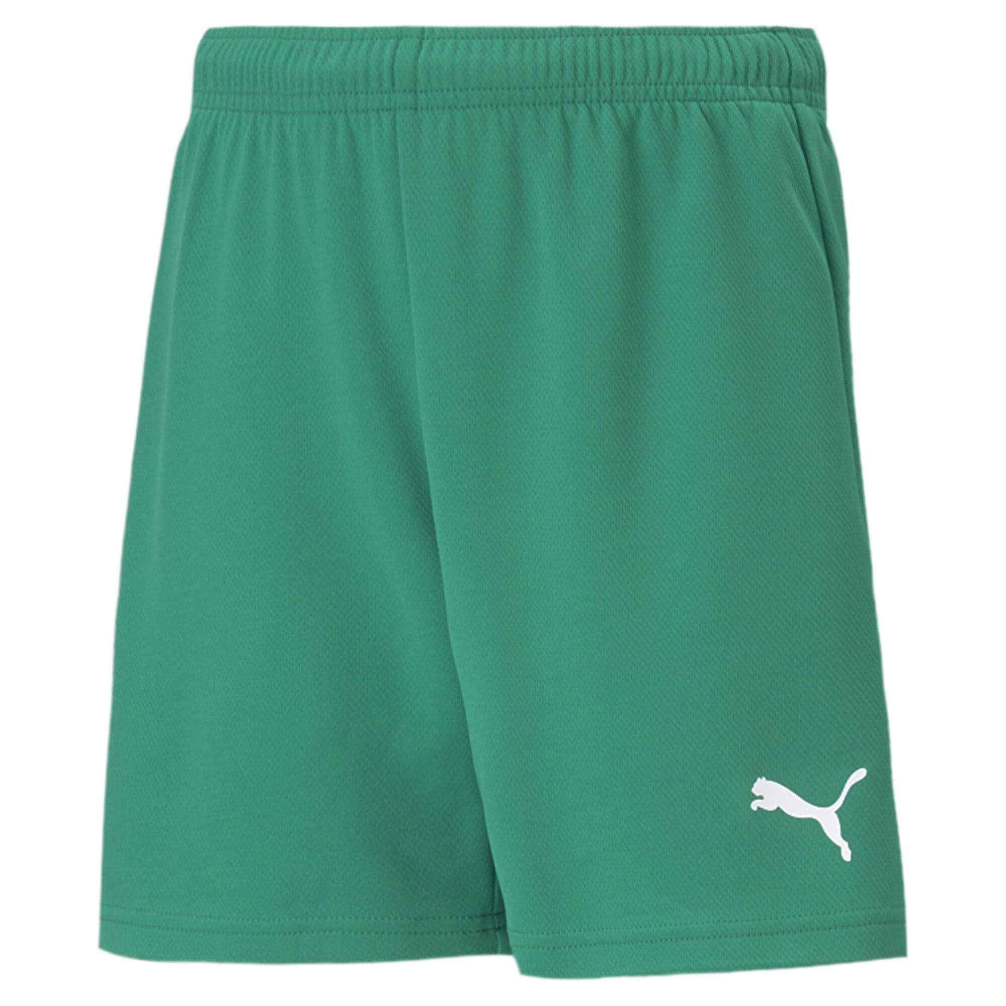 Puma Junior teamRISE Short