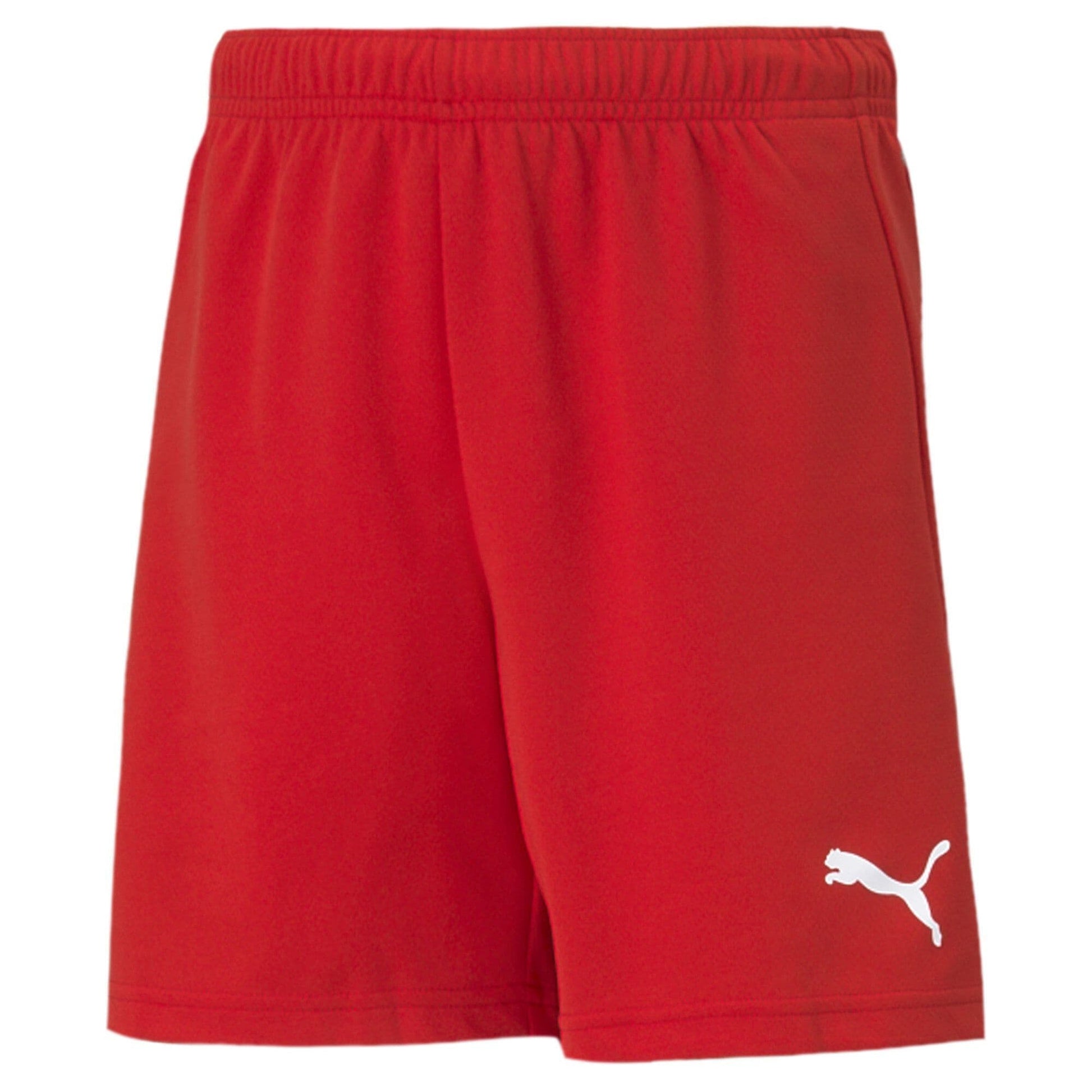 Puma Junior teamRISE Short