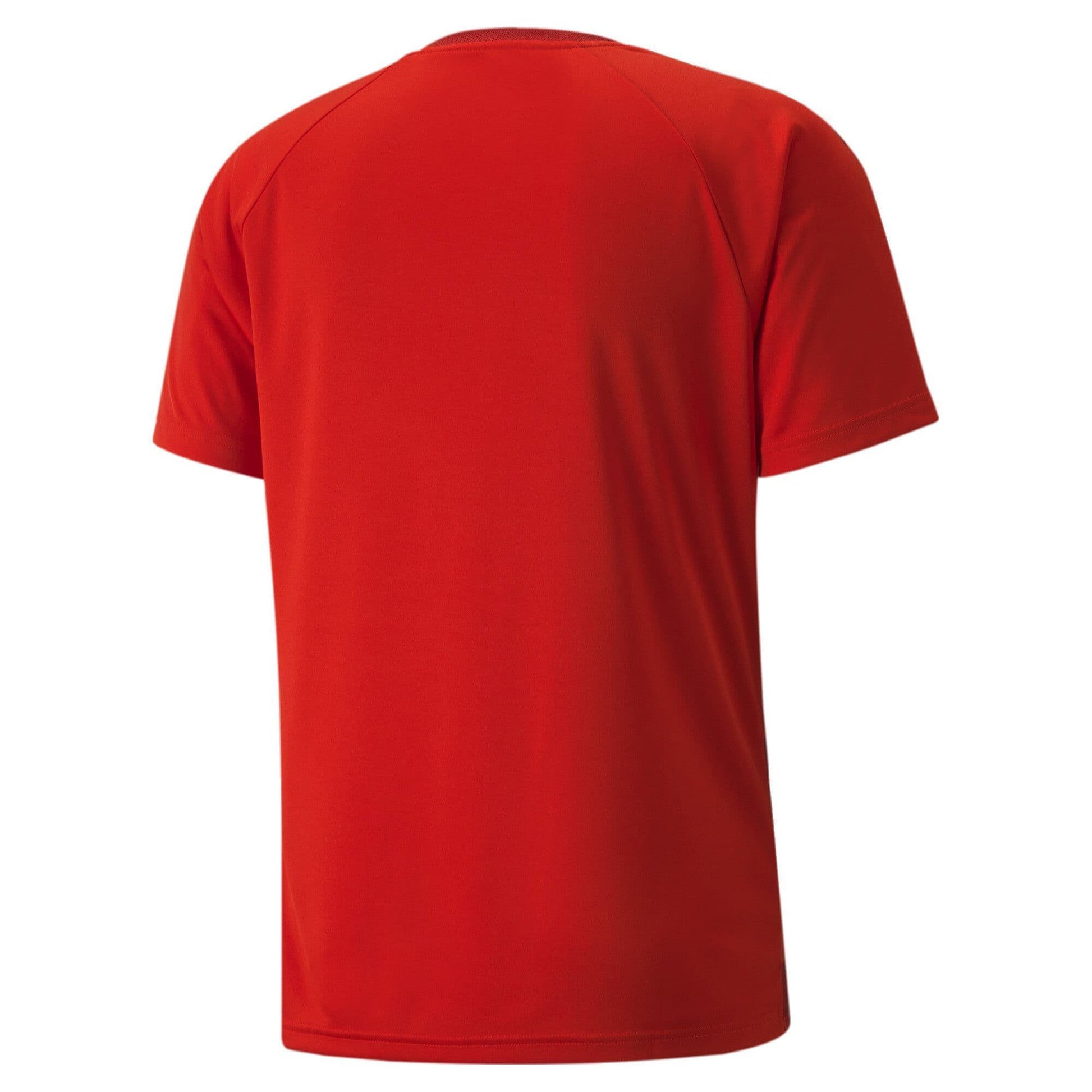 Puma Junior teamVISION Jersey