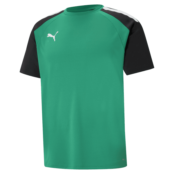 Puma teamPACER Jersey