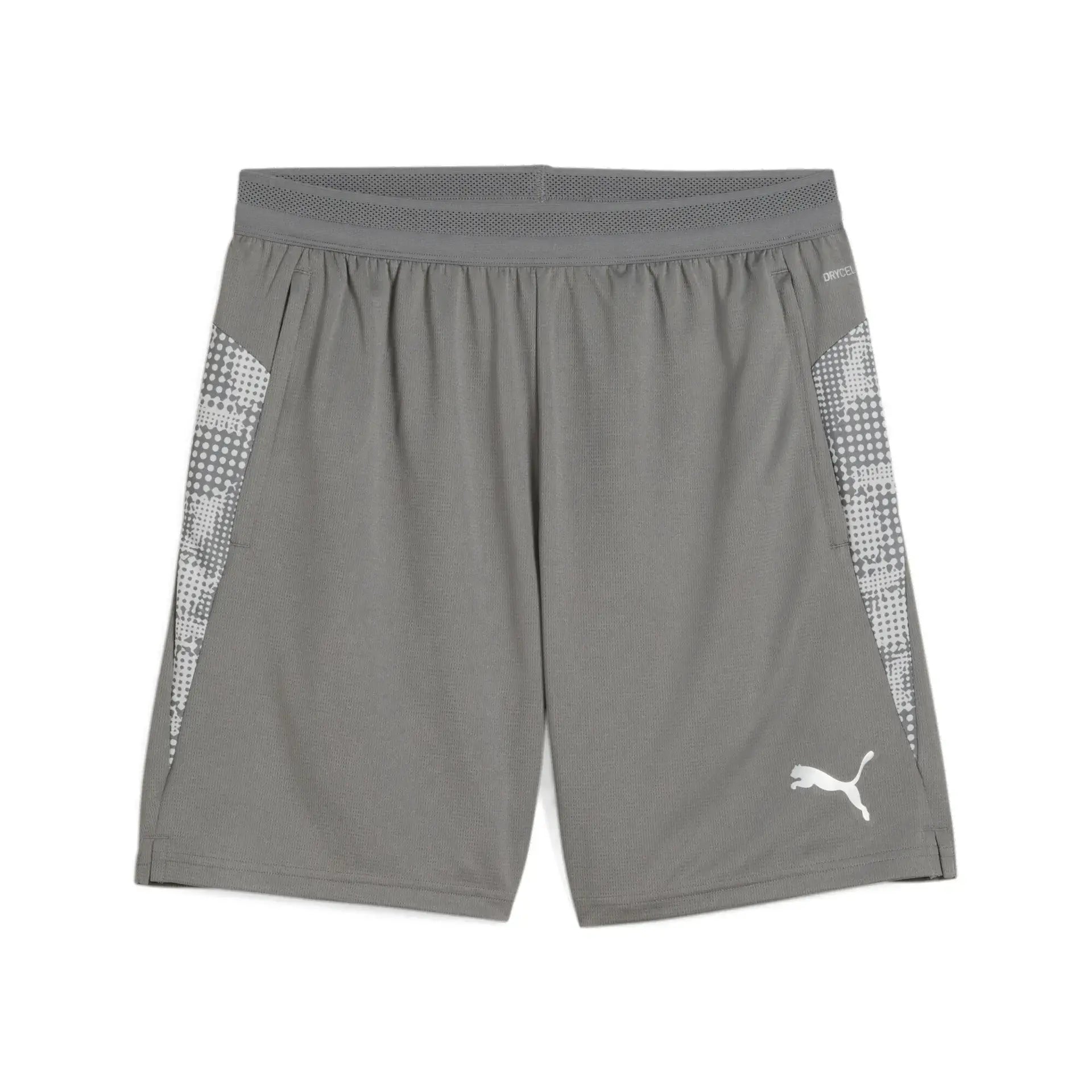 Puma teamCUP 2025 Training Shorts Adult