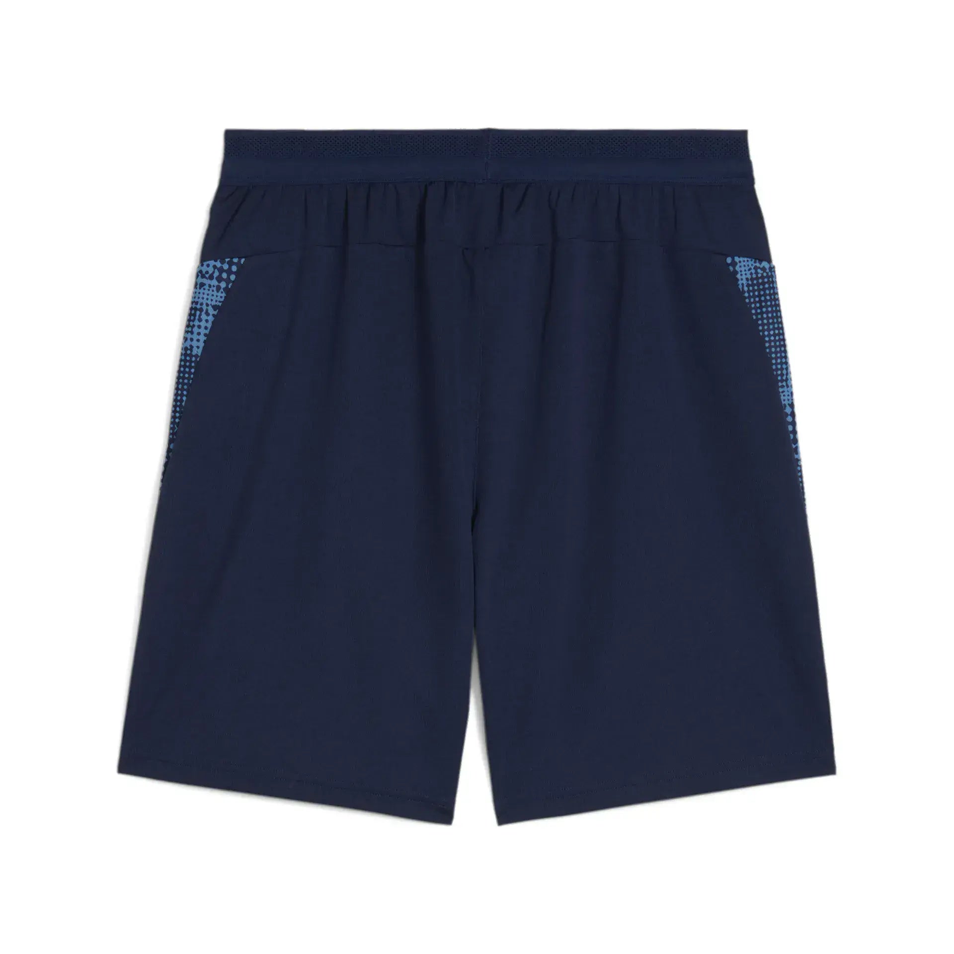 Puma teamCUP 2025 Training Shorts Adult