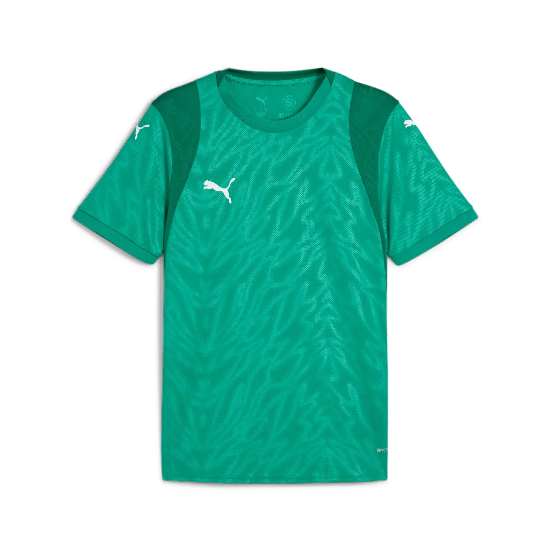 Puma teamCUP Jersey
