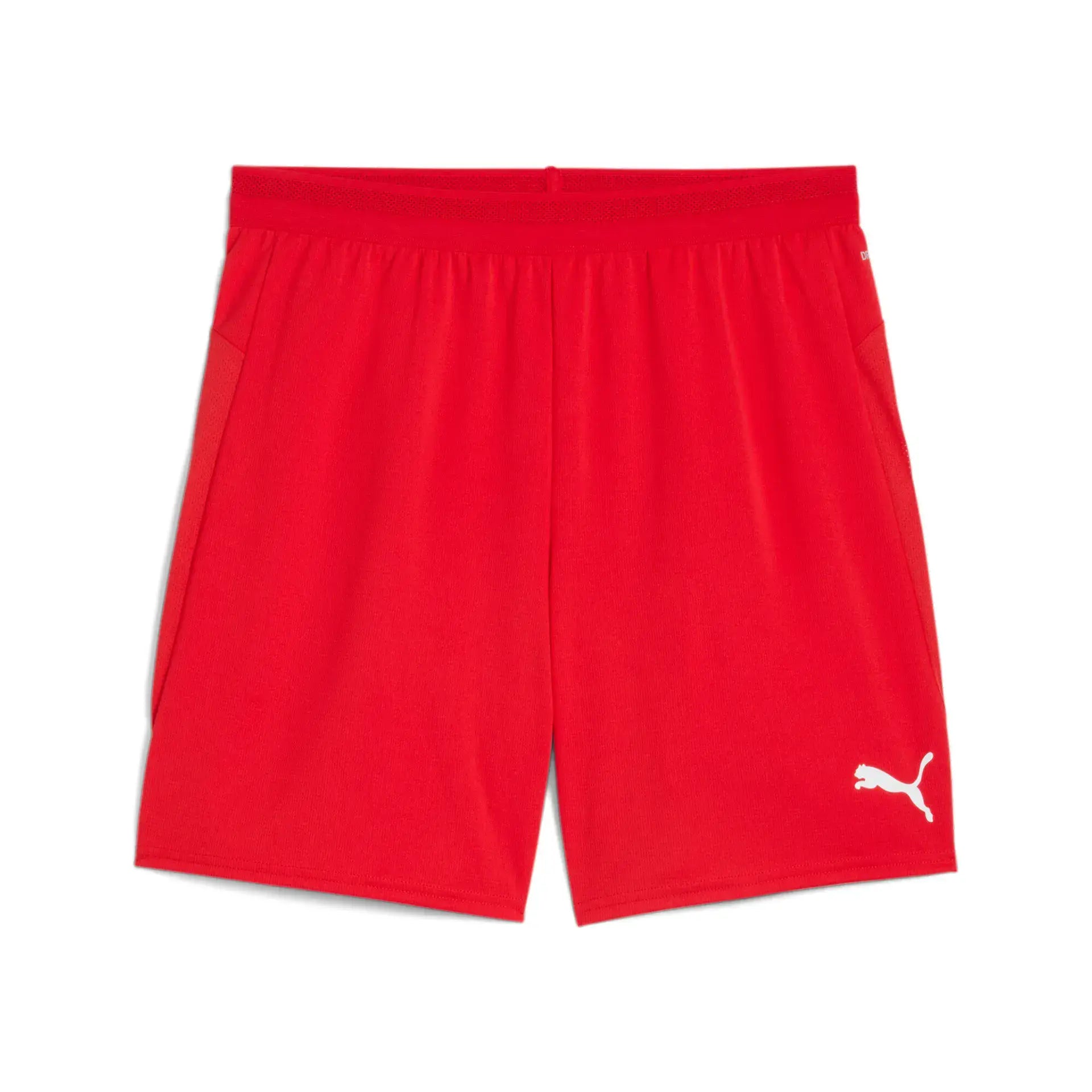 Puma teamCUP Shorts