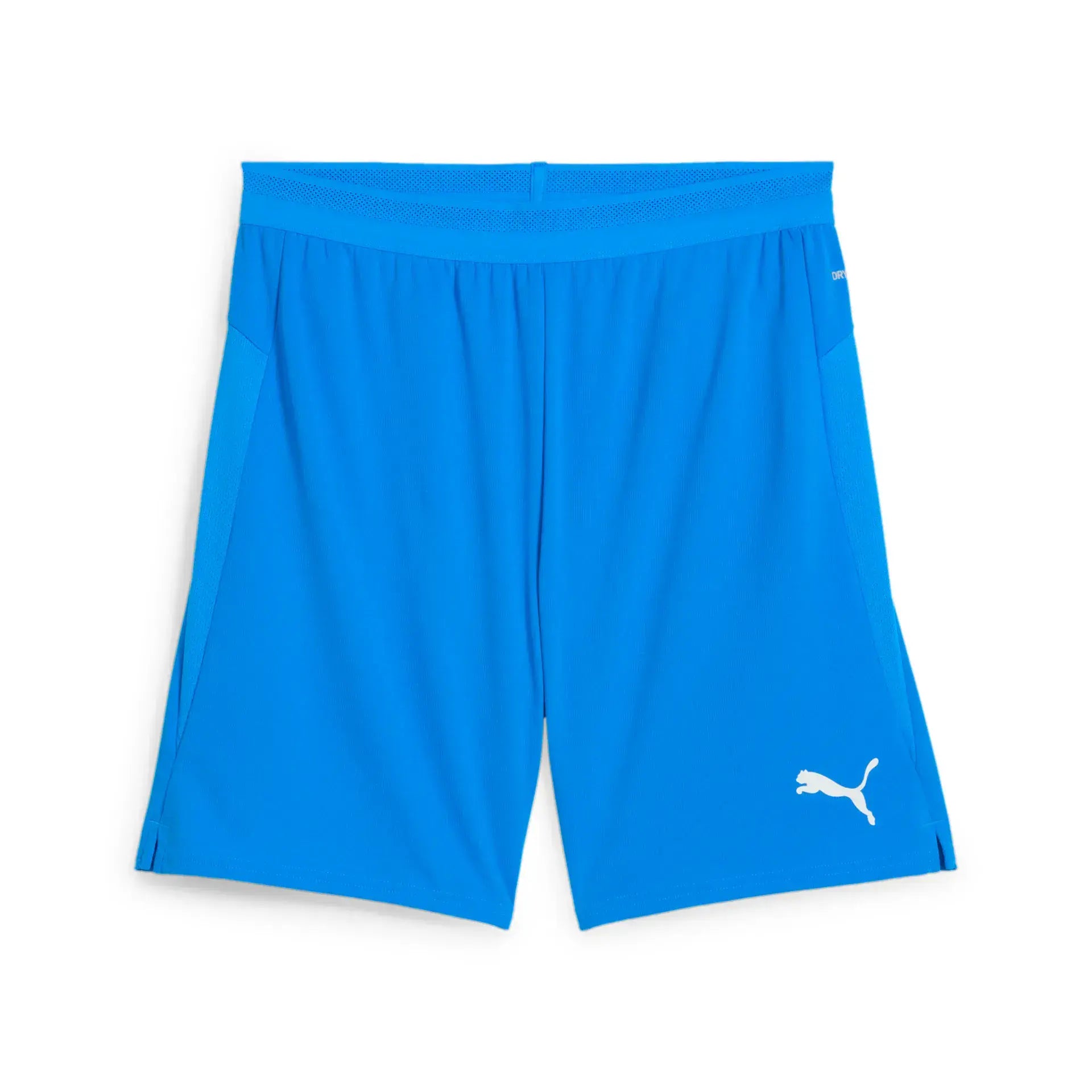 Puma teamCUP Shorts