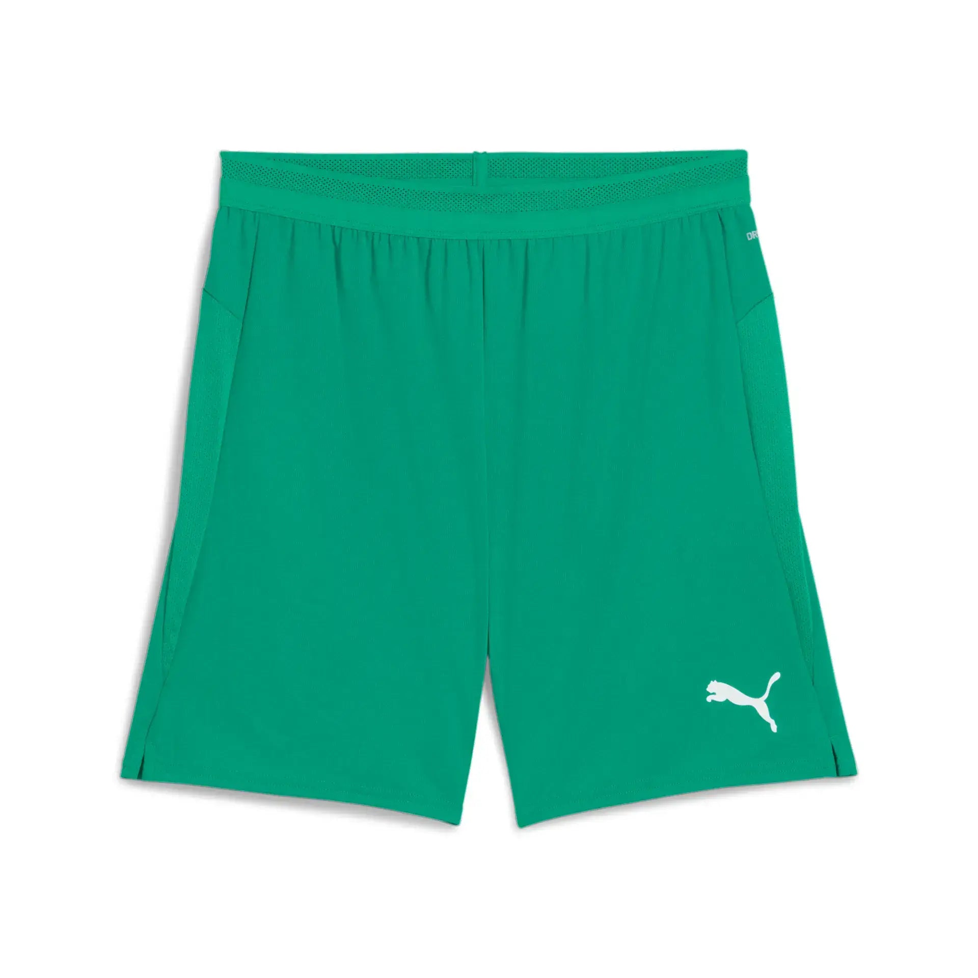 Puma teamCUP Shorts