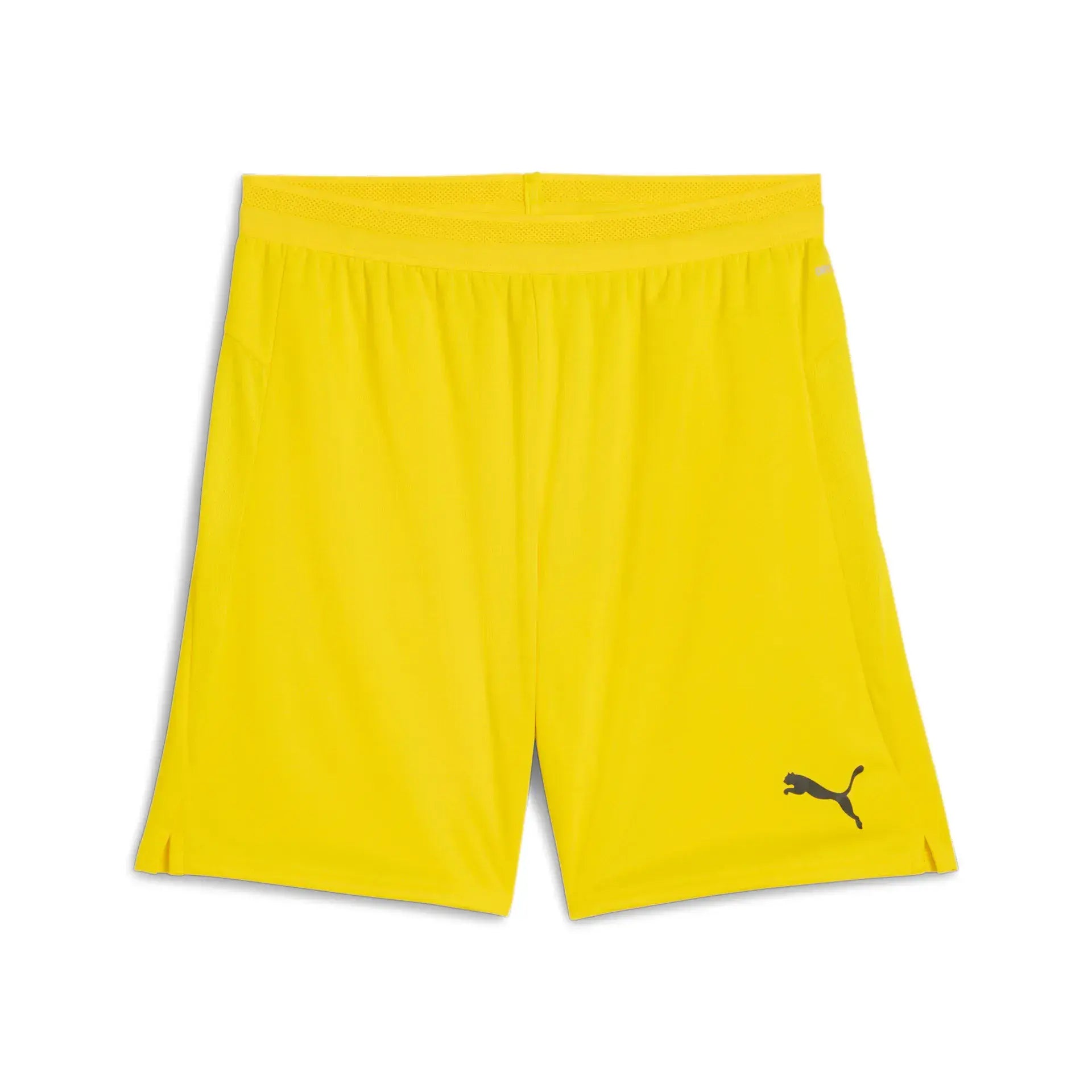 Puma teamCUP Shorts