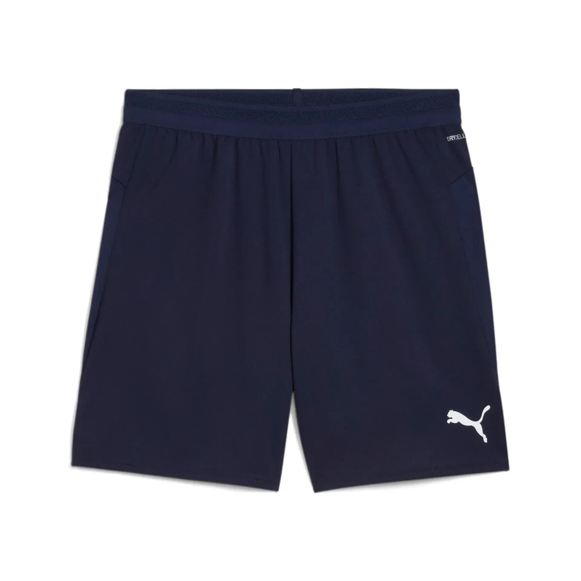 Puma teamCUP Shorts