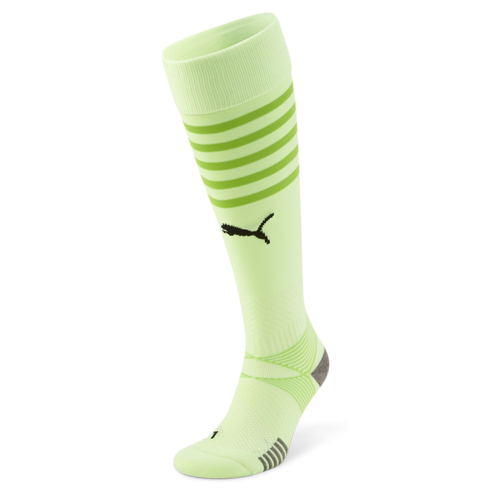 Puma teamFINAL Socks