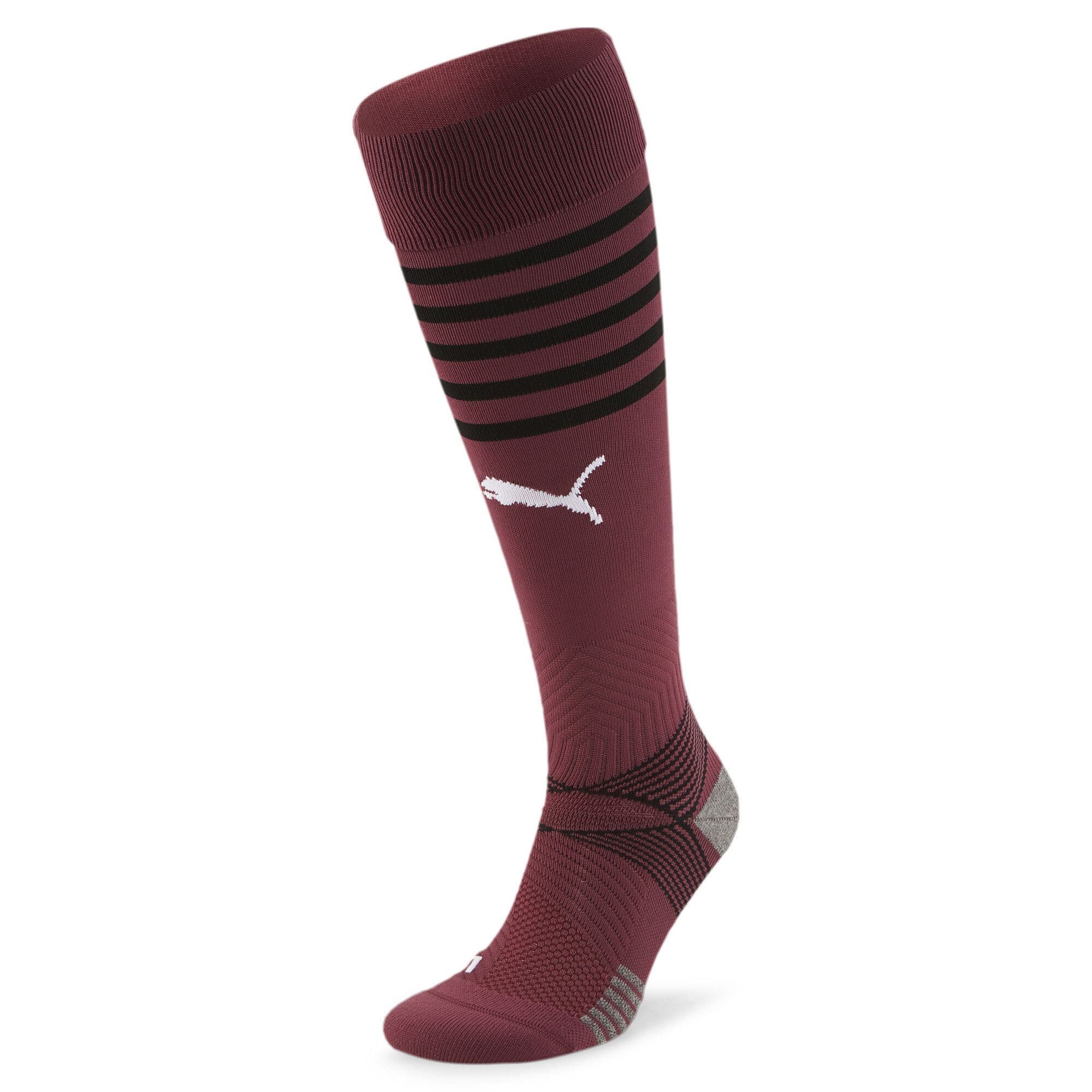 Puma teamFINAL Socks