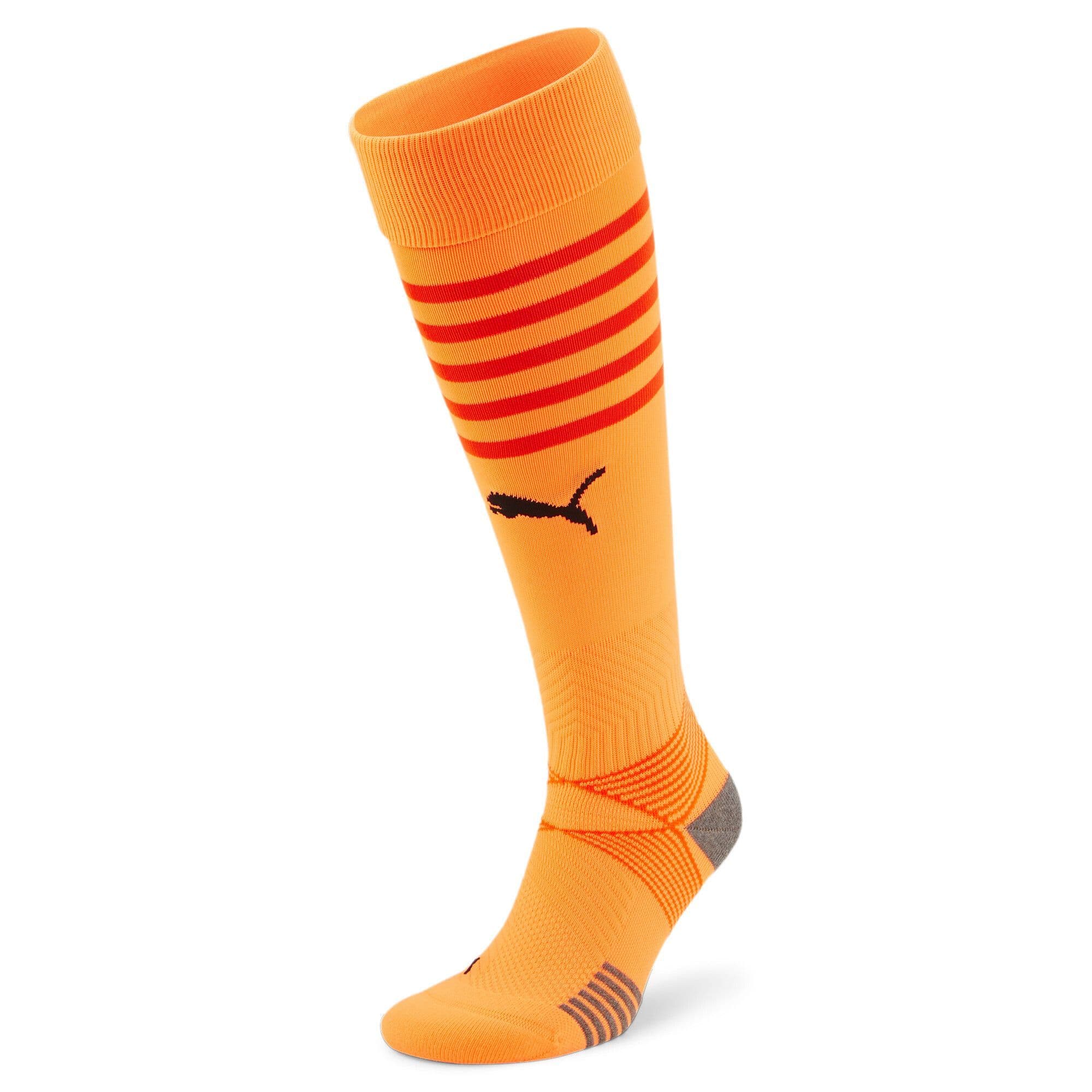 Puma teamFINAL Socks
