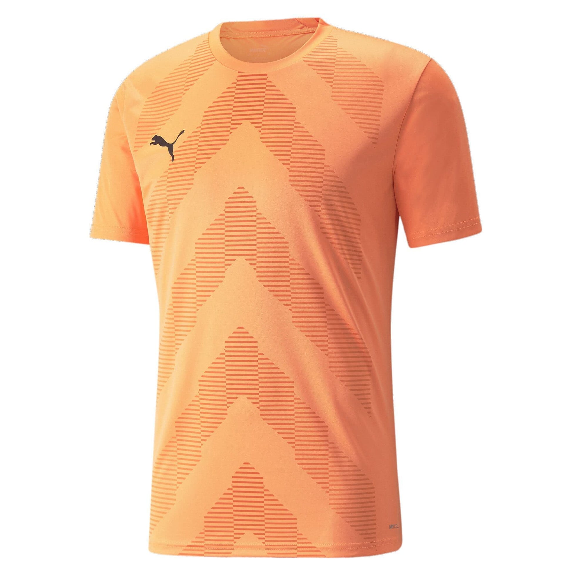 Puma teamGLORY 23 Jersey